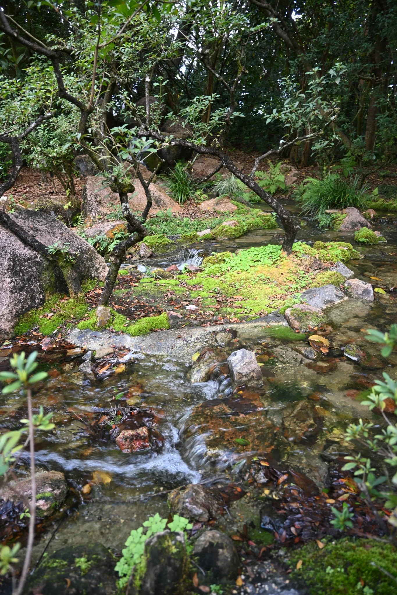 IMG_20260410_111127 (5).jpg