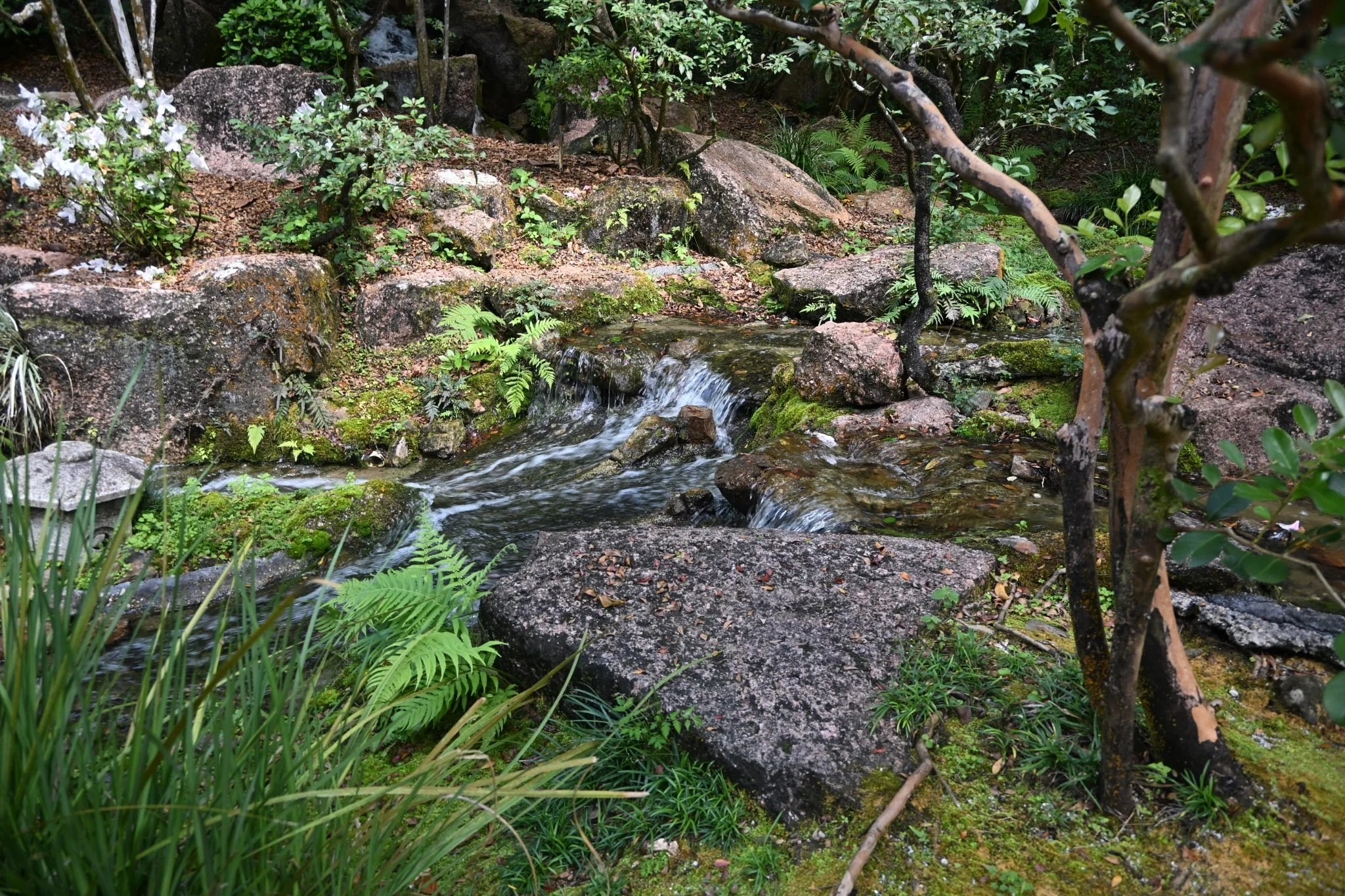 IMG_20260410_111127 (6) (1).jpg