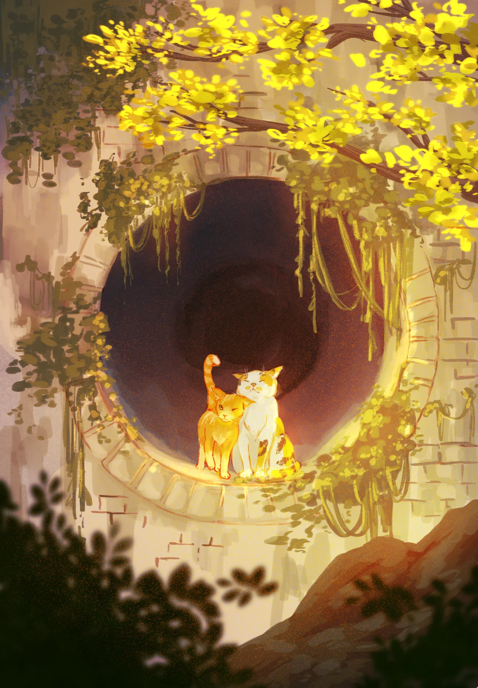 Shared Shelter.webp