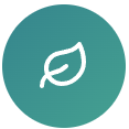 Leaf icon on a teal background