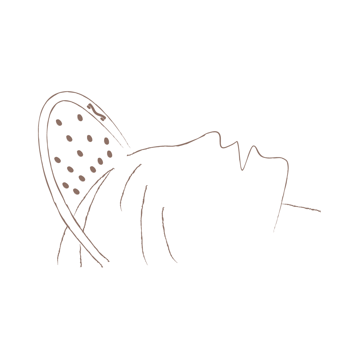 Minimalist line drawing of a woman washing her leg with a showerhead
