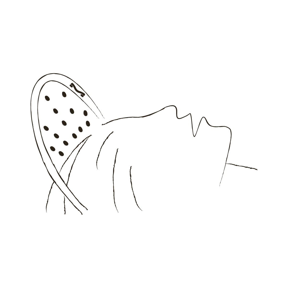 Line drawing of a person lying down with a butterfly resting on their face.