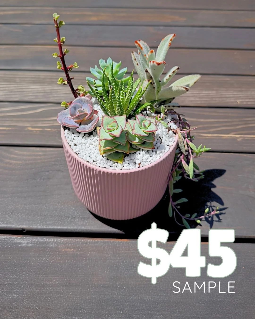 Rooted Relics Pictures.jpg