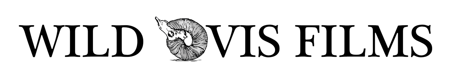 Wild Ovis Films