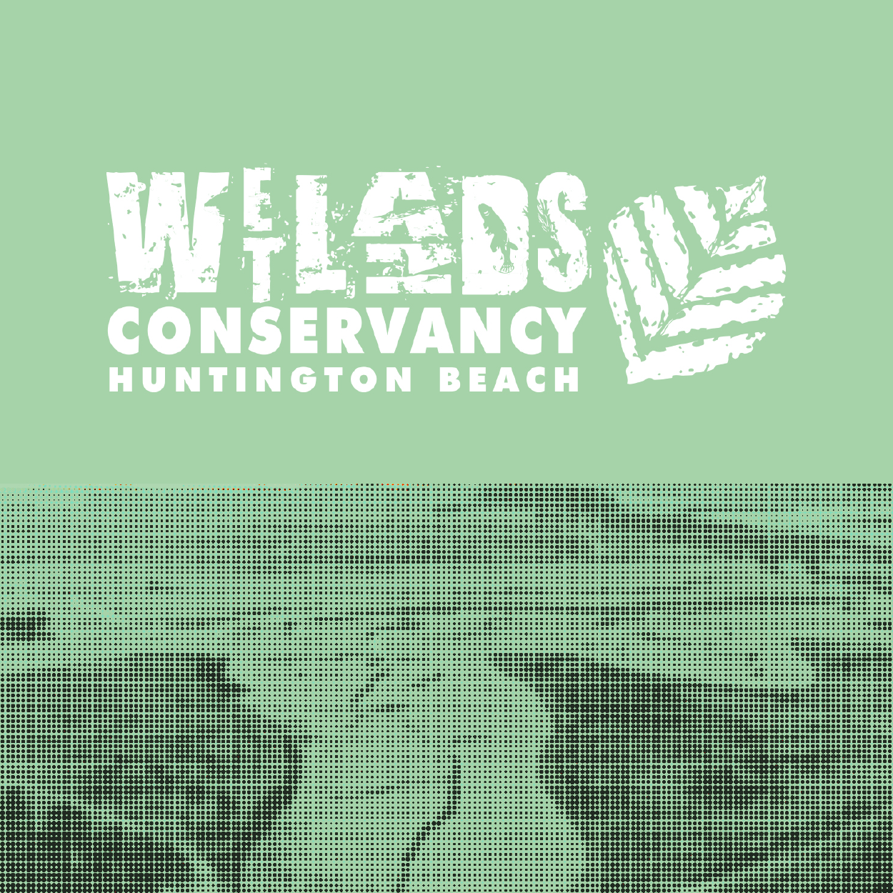 Brending and Landing Page Design