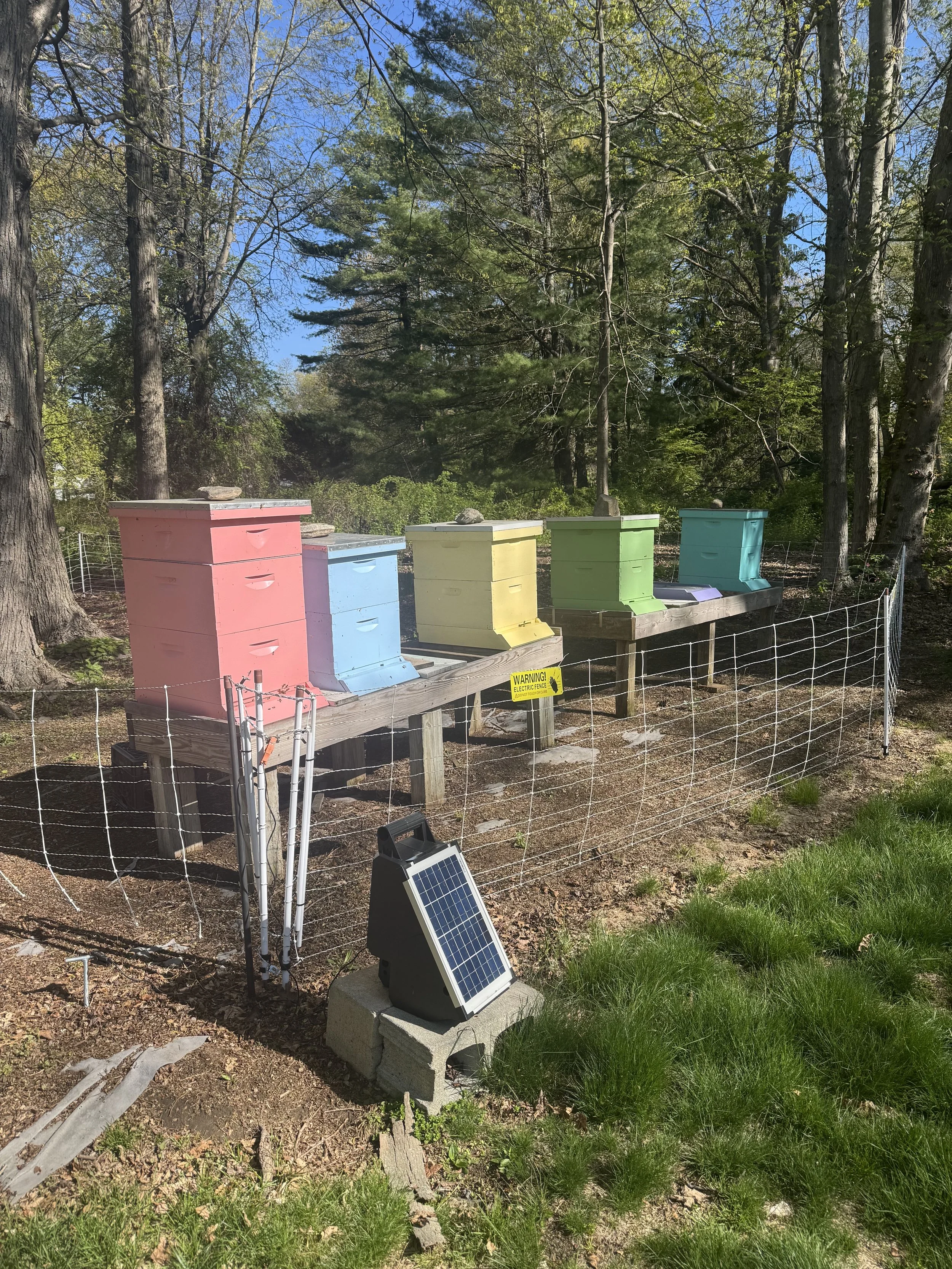 Brett Lane Bees apiary where we harvest raw wildflower honey, Greenfield Hill Fairfield Connecticut.