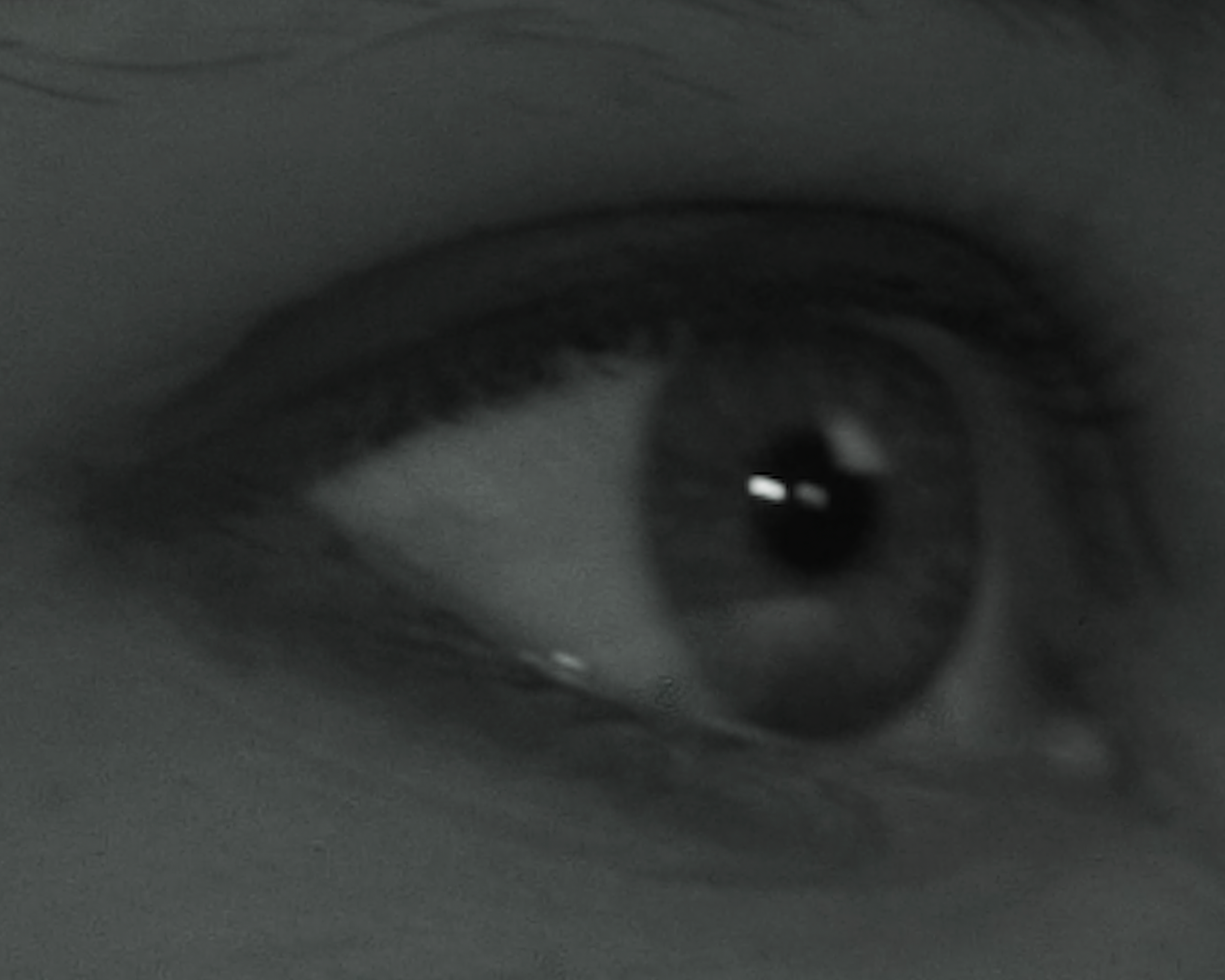 Screenshot+2026-04-08+at+8.36.36%E2%80%AFPM.png