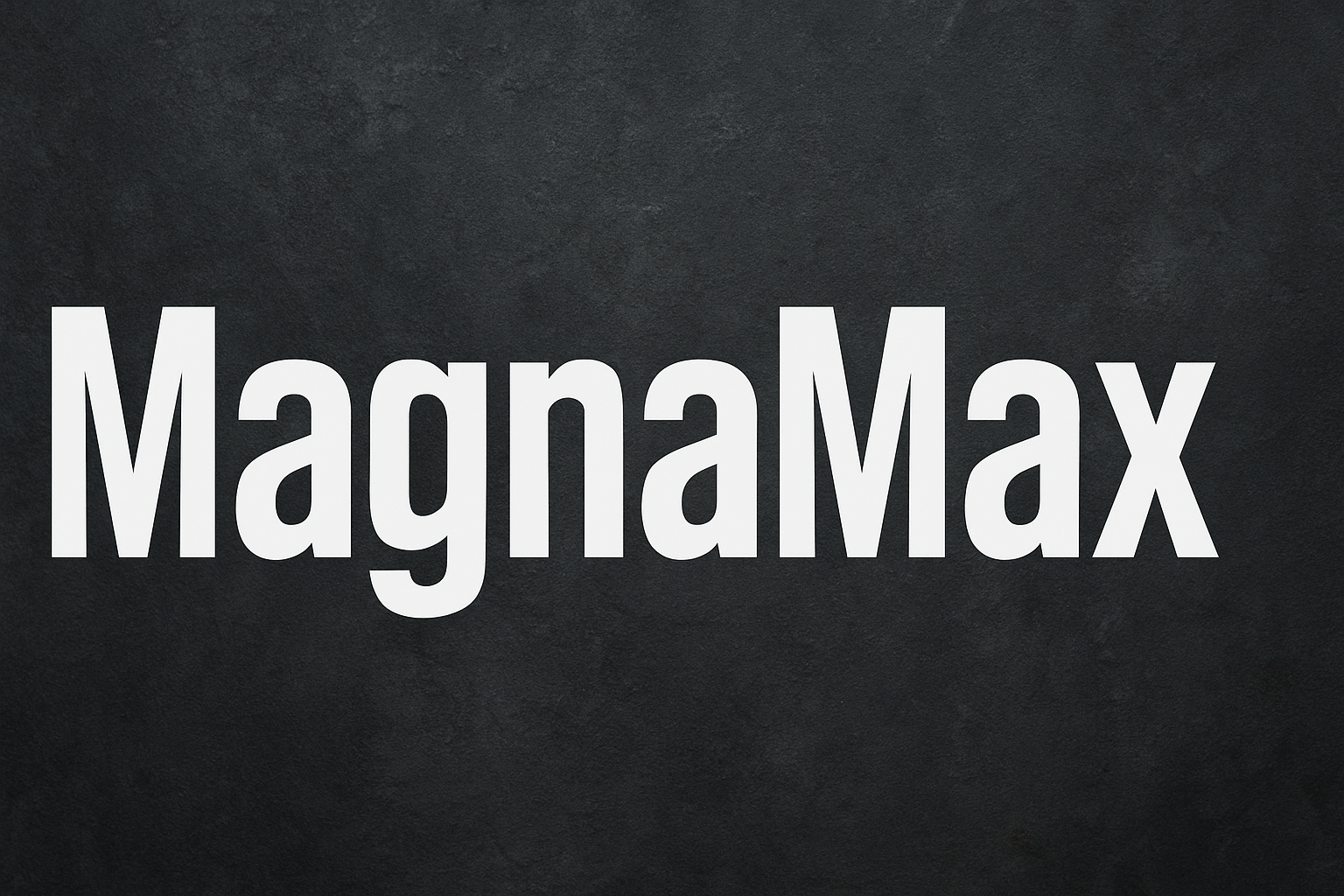 MagnaMax