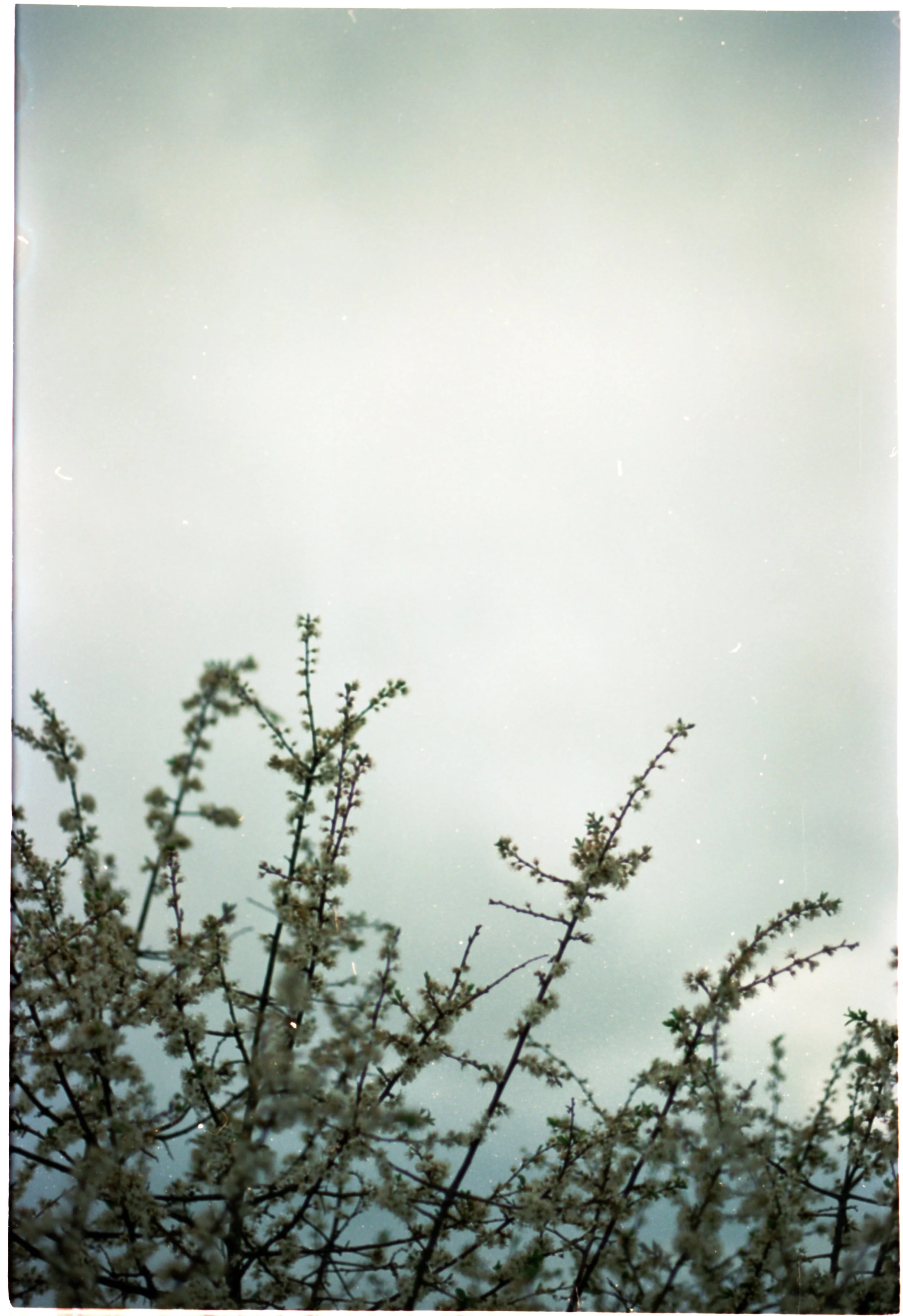 IMG_0076.jpeg