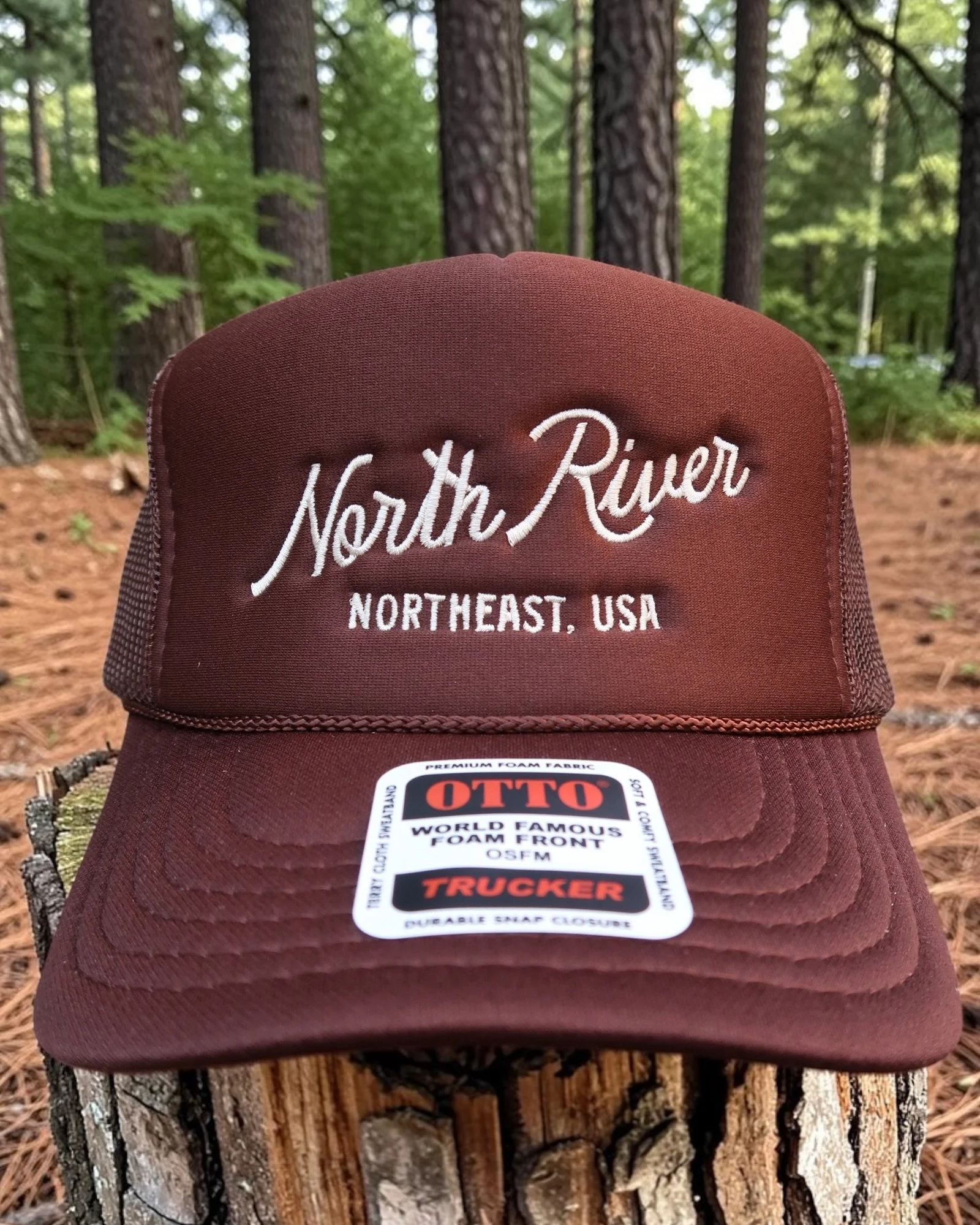 BrownNRTrucker.png