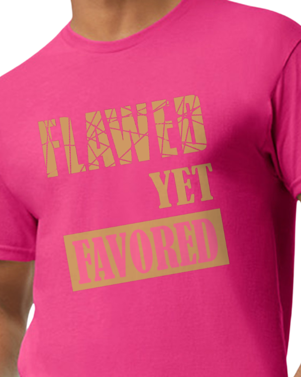 FlawedyetFavored tee_pink_mock.png