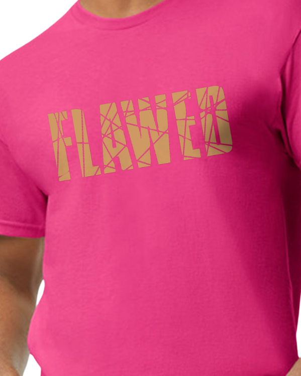 flawed tee_pink_mock.png