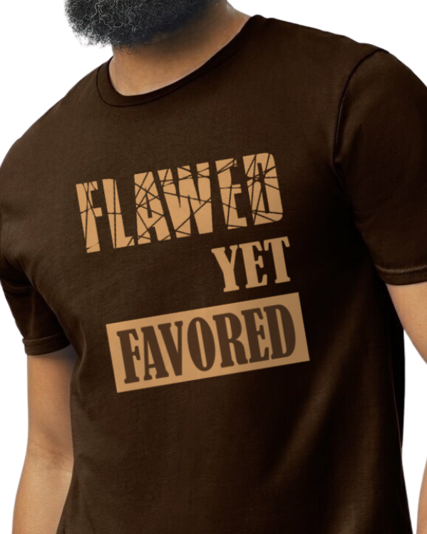 FlawedyetFavored tee_choc_mock.png