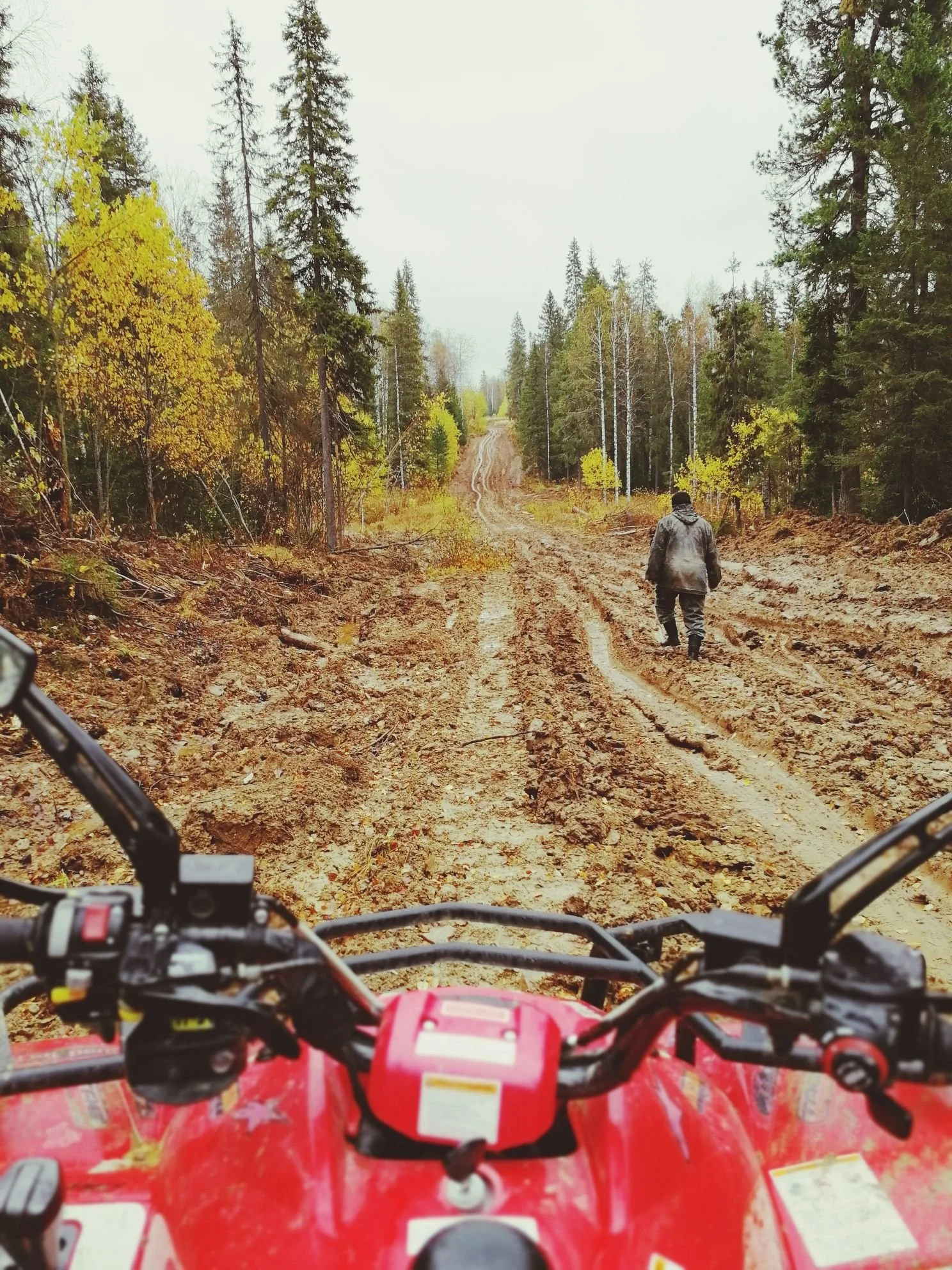 View from a red ATV on a muddy dirt trail through a forest with green and yellow fall foliage. A person in a gray jacket walks ahead on the trail.