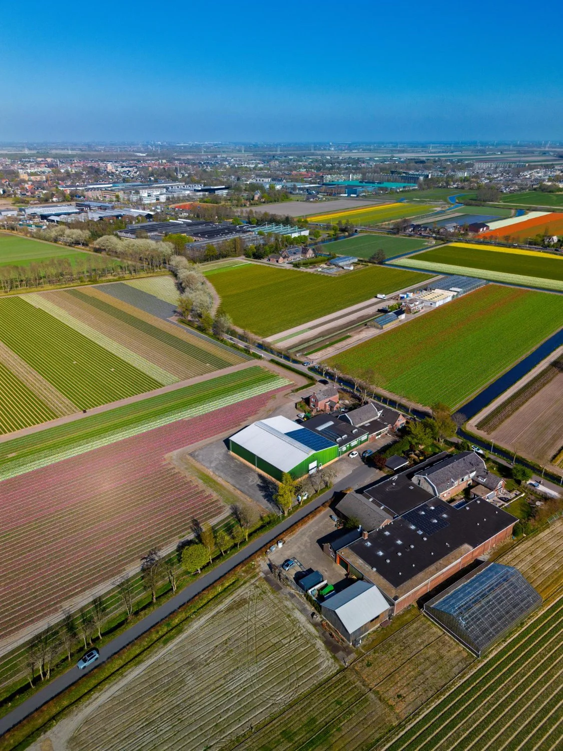 Aerial view of farmland with colorful crop fields, farm buildings, greenhouses, and a nearby residential area under a blue sky.