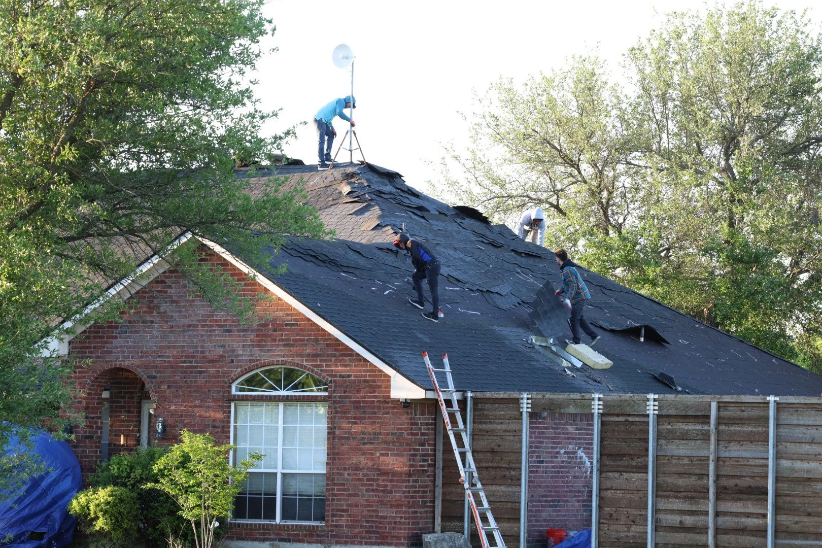 Five workers repairing a house roof, with shingles removed and new ones being installed. Ladder leaning against the house, trees surrounding the area, and sunlight illuminating the scene.