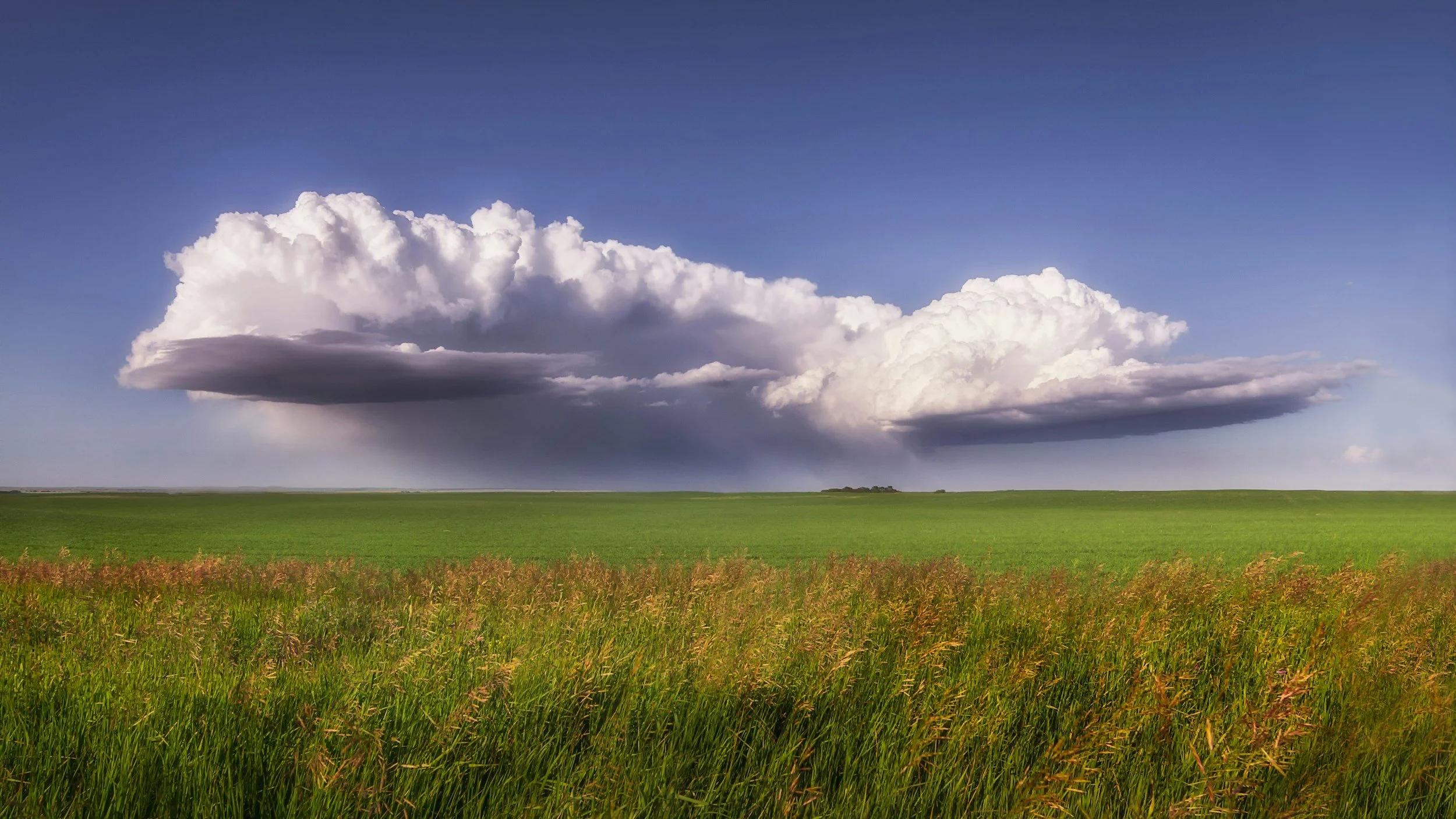 A rural landscape featuring a flat green field under a partly cloudy sky with large, dark clouds.