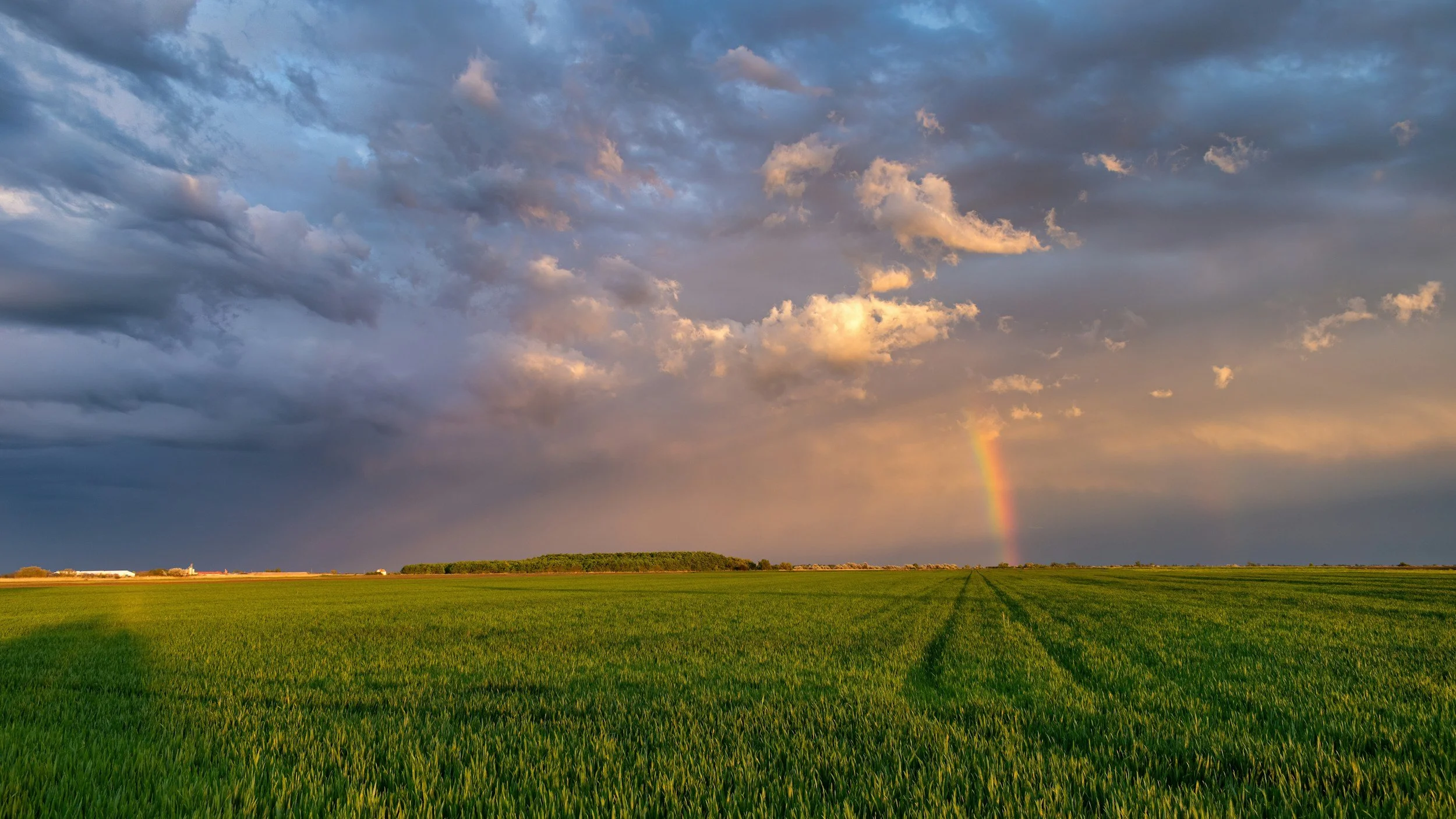 A vast green field with a line of trees in the distance under a partly cloudy sky. A rainbow is visible near the horizon, with the sky showing a mix of dark and light clouds illuminated by the setting or rising sun.