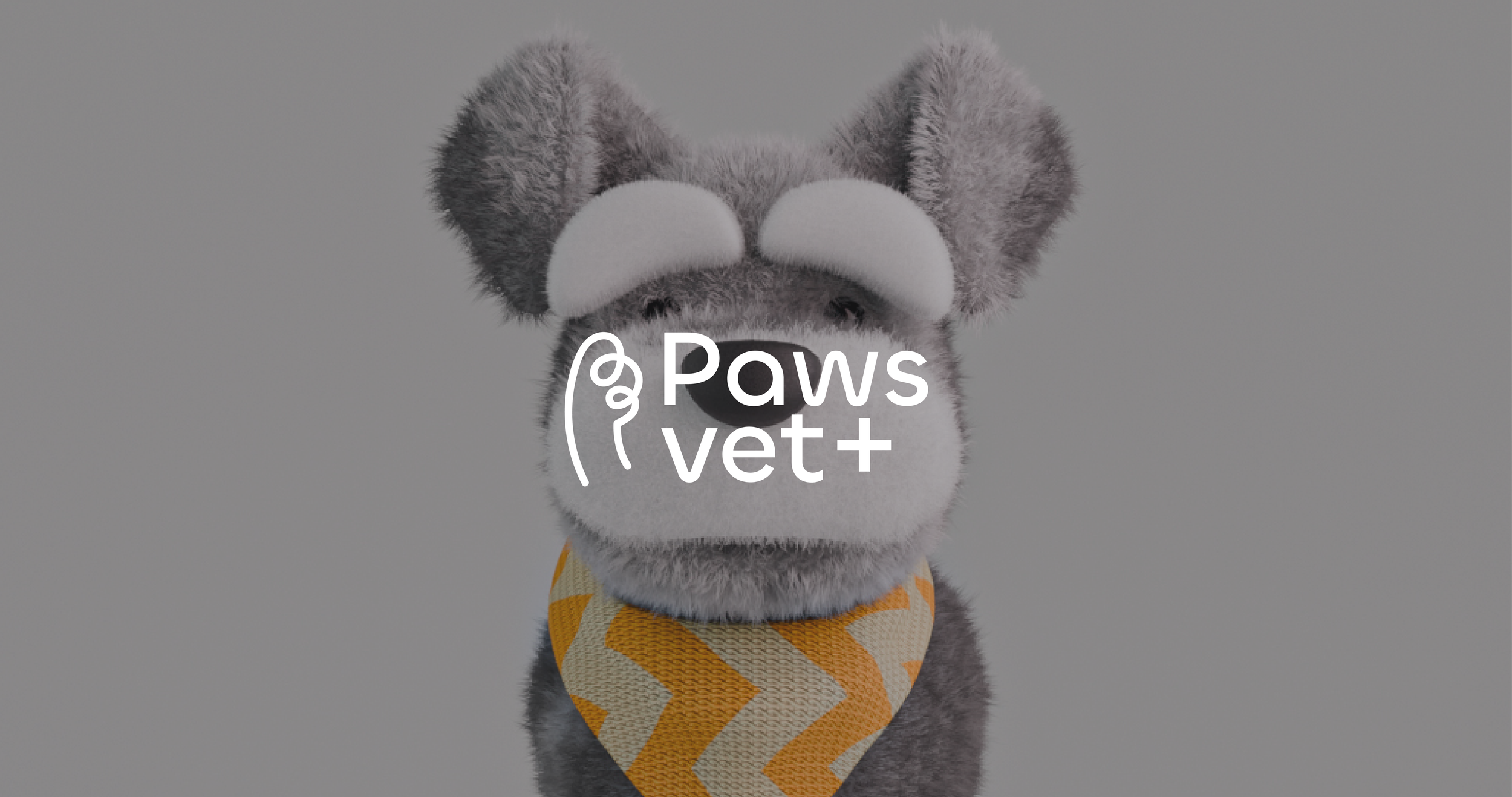 Vet brand identity