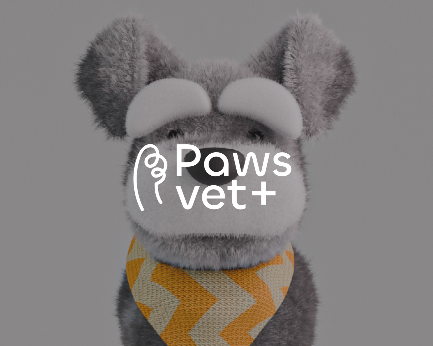 PAWS VET+ VISUAL IDENTITY