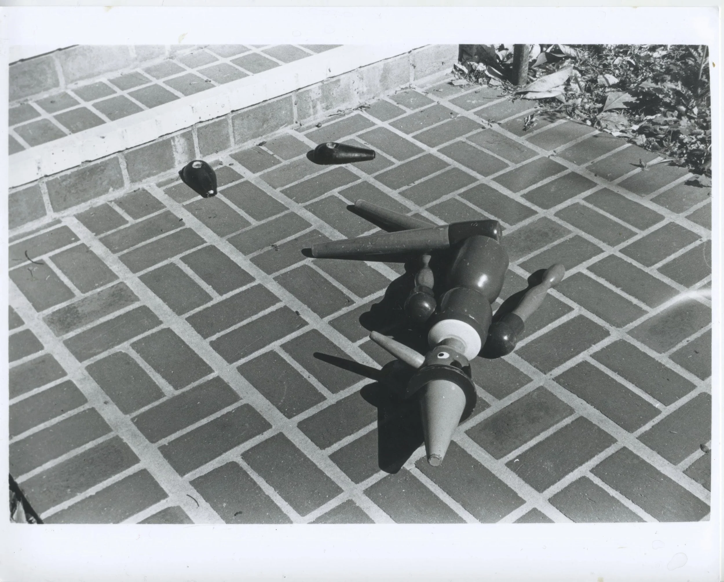 Fallen, 2025
8" X 10"
silver on gelatin print