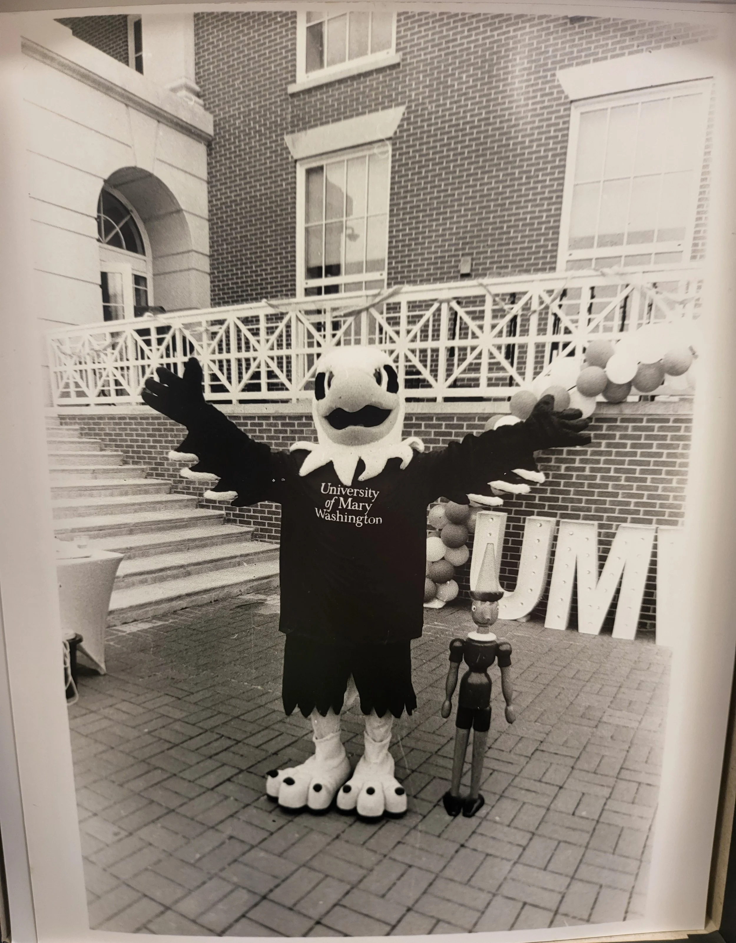 silver on gelatin print