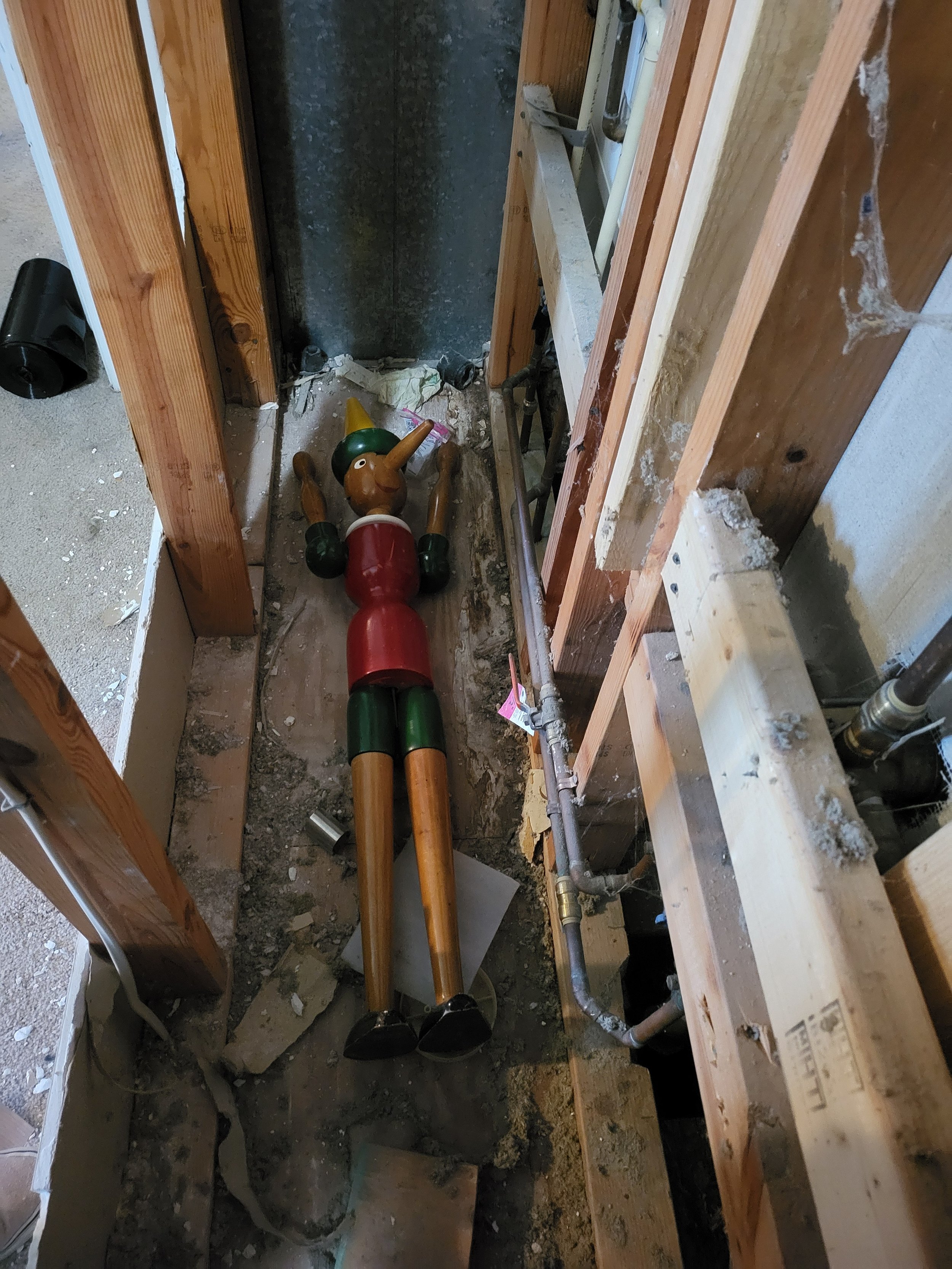 Pin in a Hole, 2026
5" X 6"
digital photo print