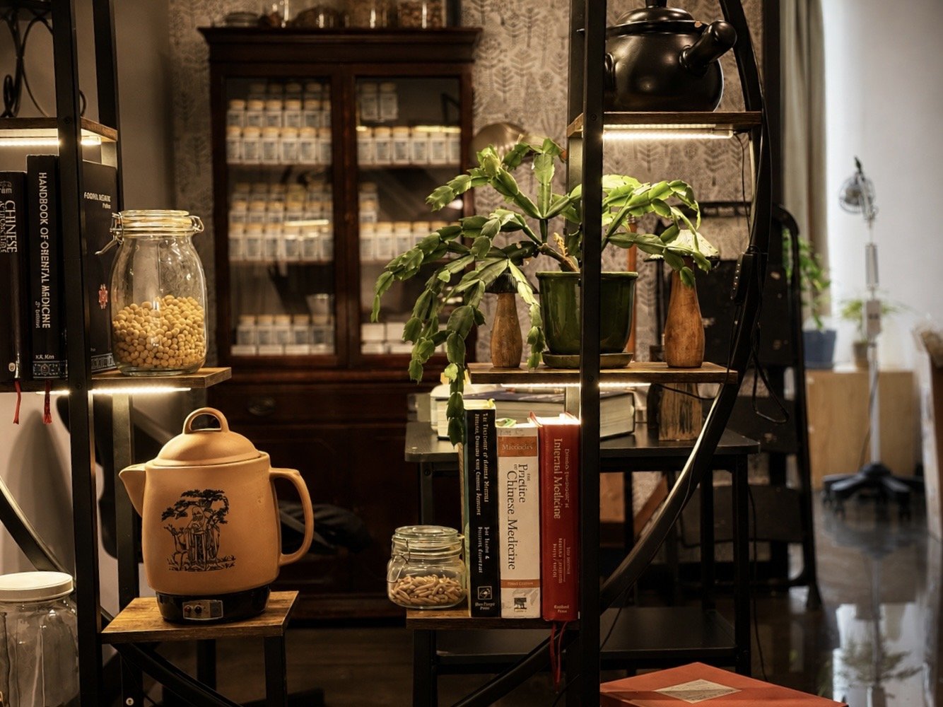 Interior view of a cozy room with shelves holding books, plants, and decorative items, including a teapot and jars, with a dark wooden cabinet in the background and natural light coming from a window.