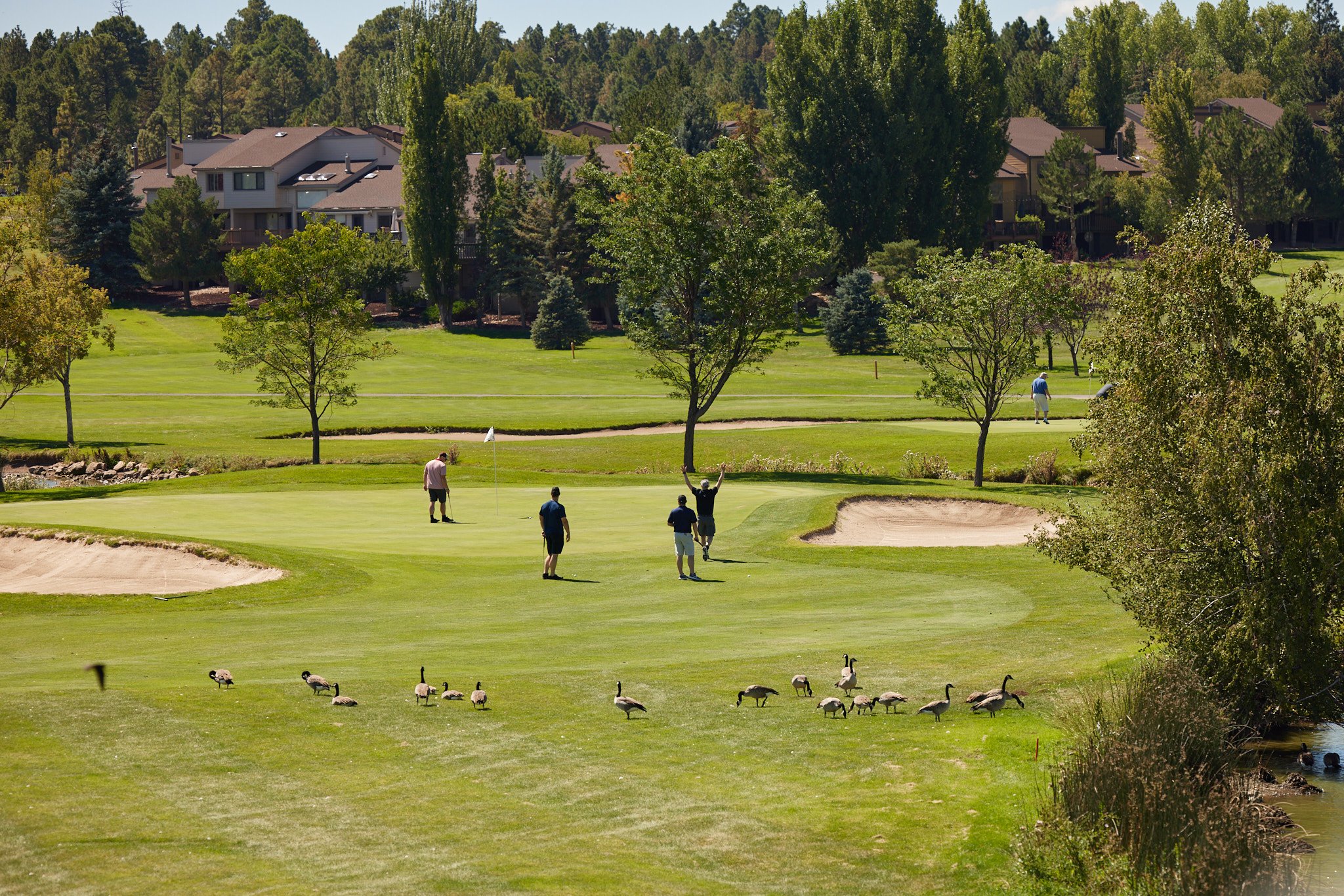 TYGOLF_0118.jpg