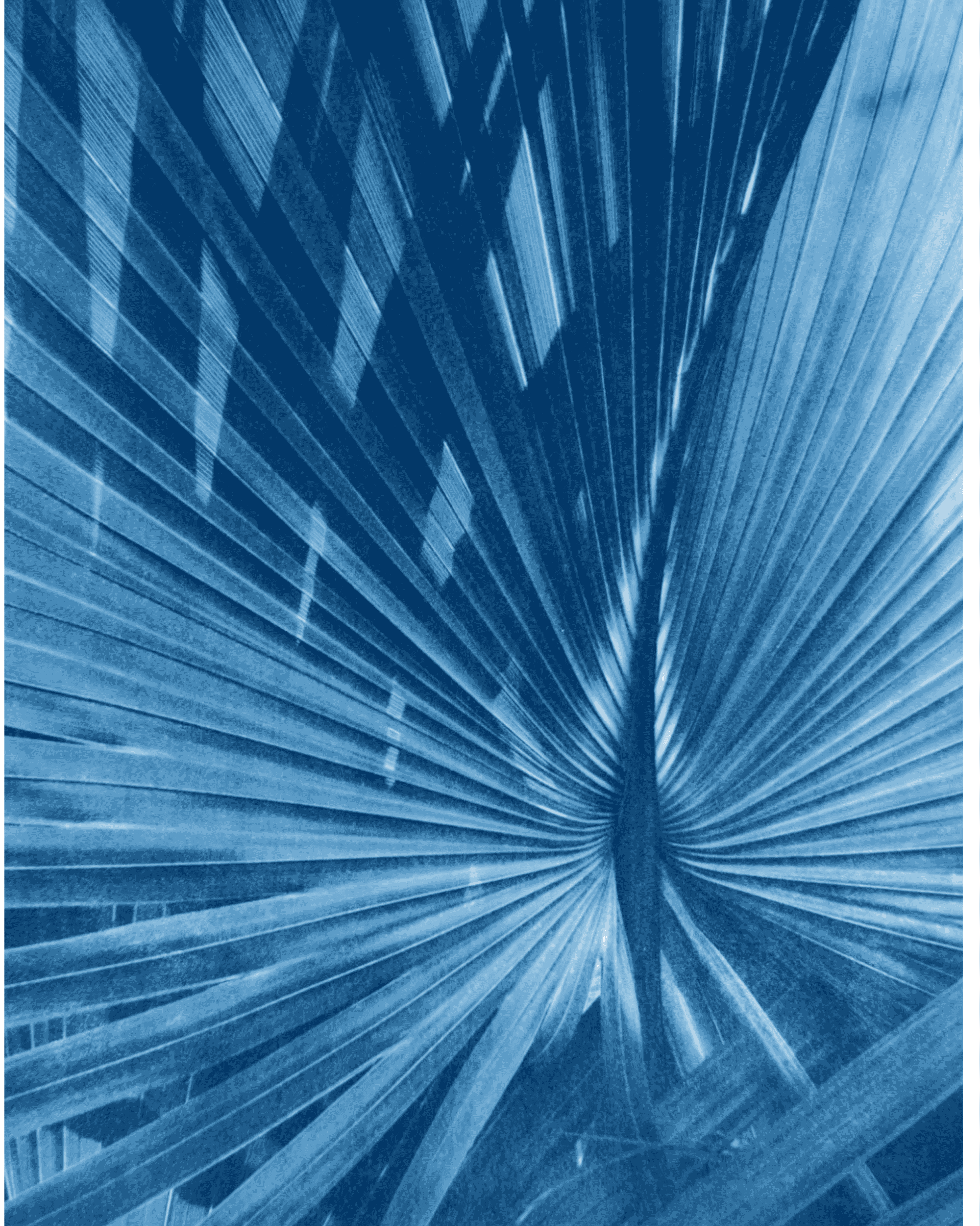 16x20 shells drk frame whole img (1).png