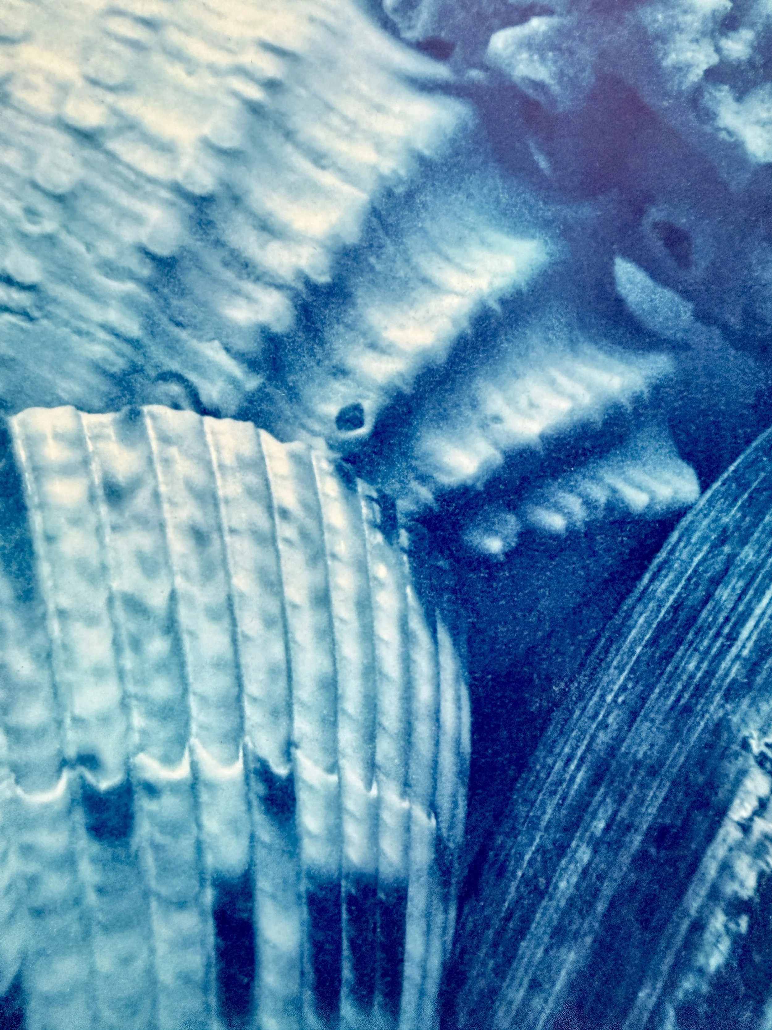 close up.jpg