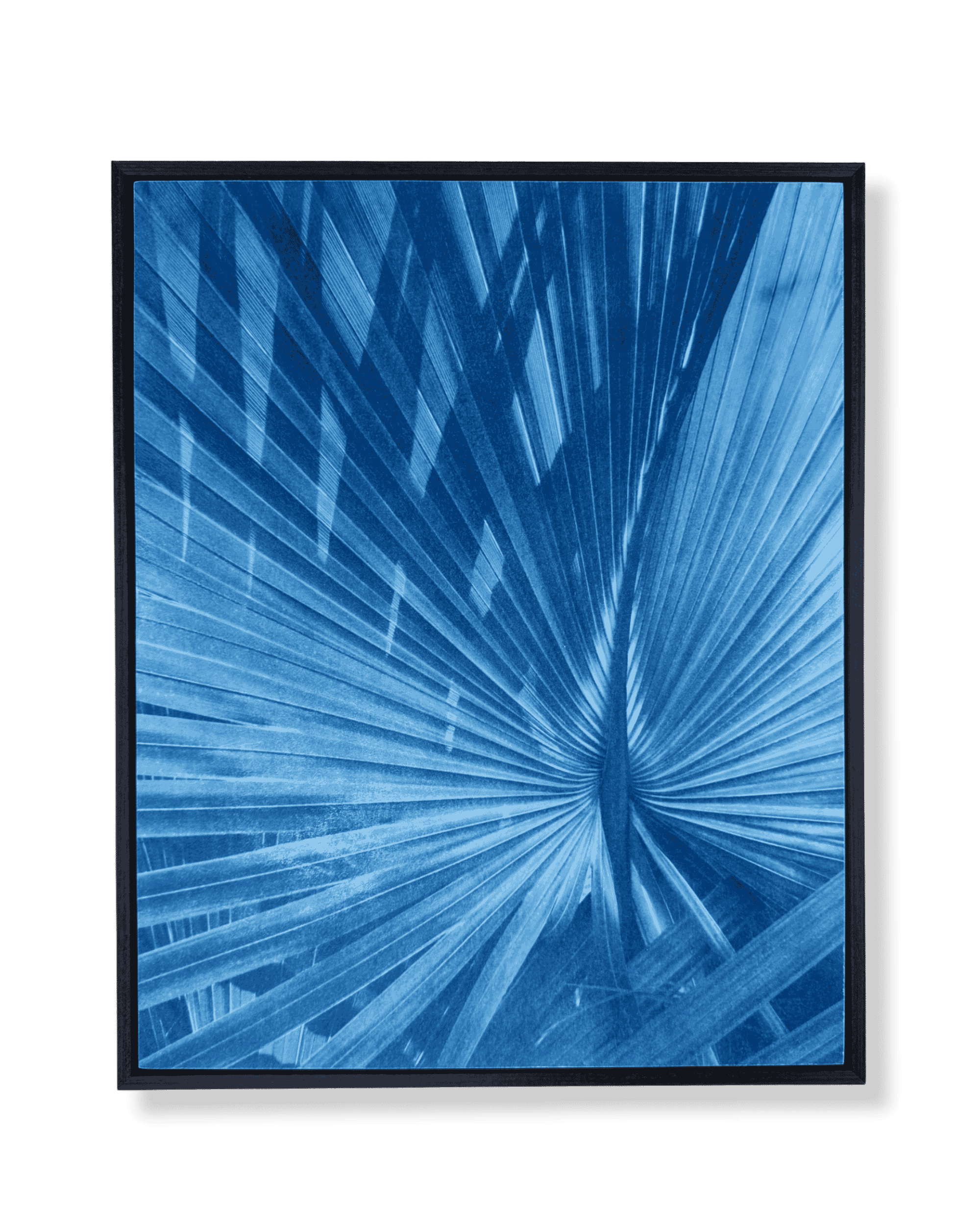 16x20 drk palm drk brwn frmd sept 26 mock up.png