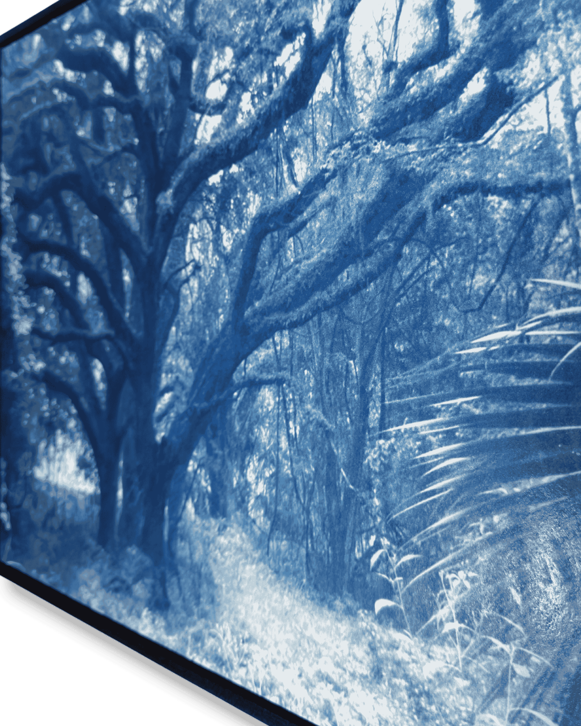 Untitled design (19).png