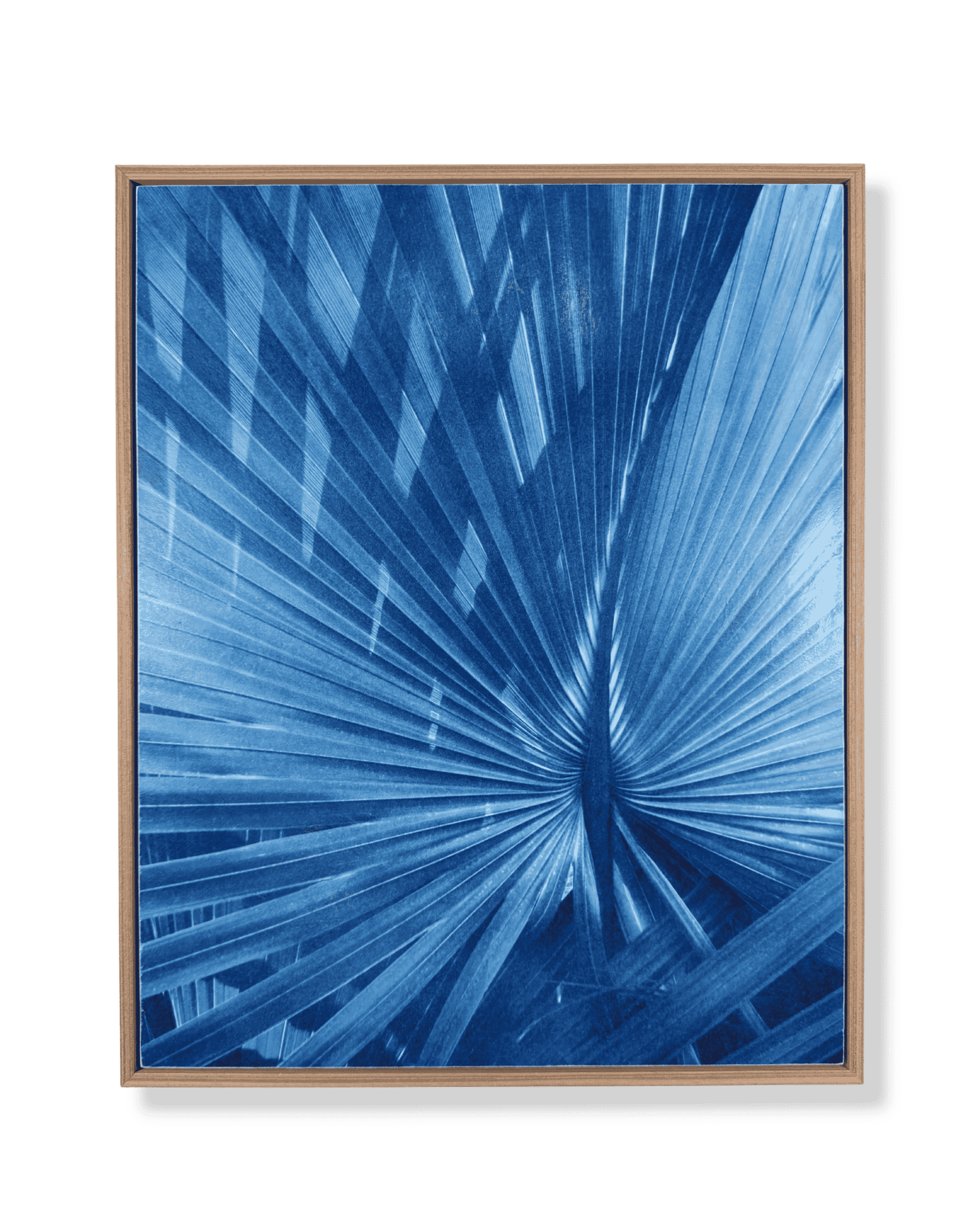 16x20 midday palm lt brwn frmd sept 26 mock up.png
