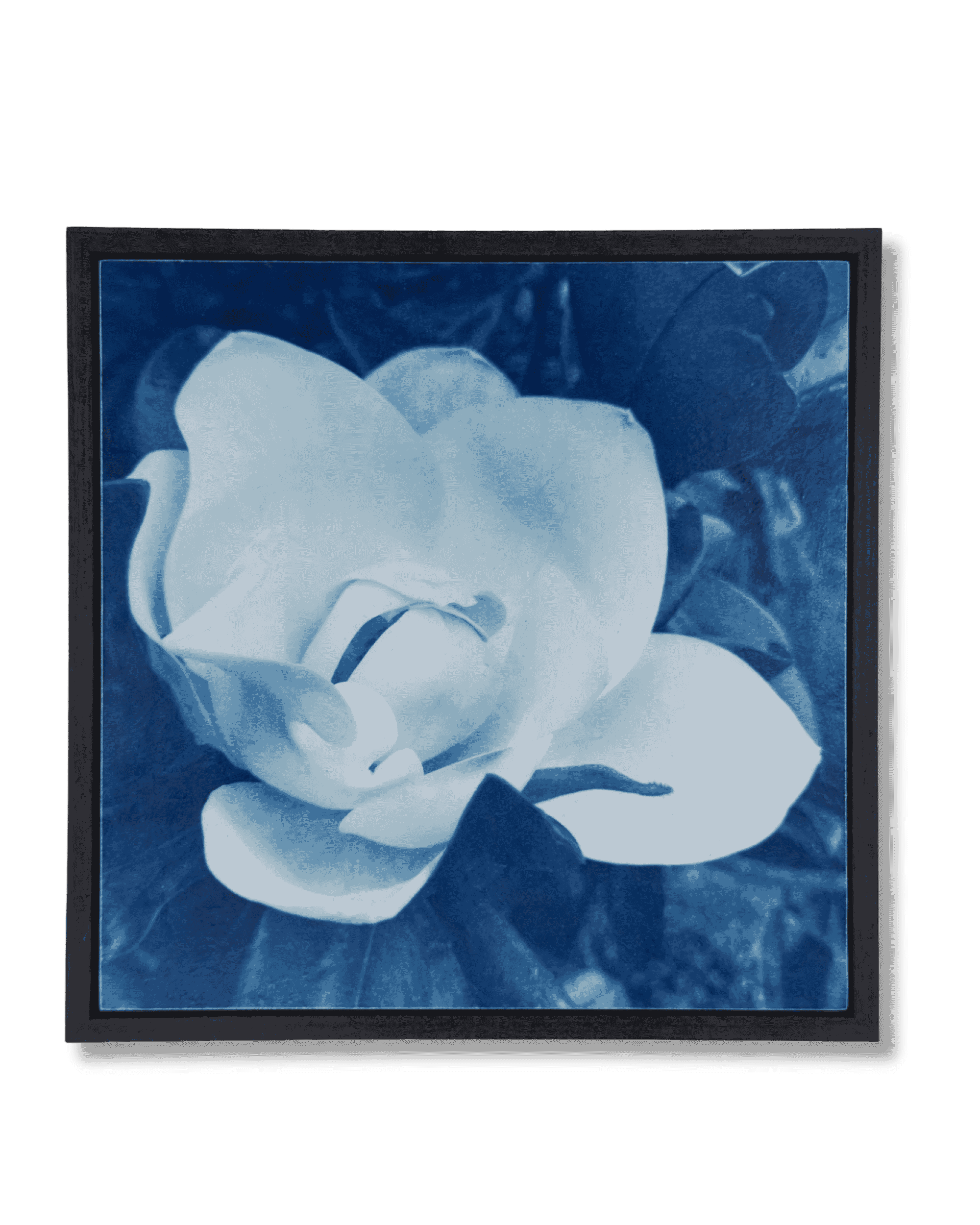 Untitled design (19).png