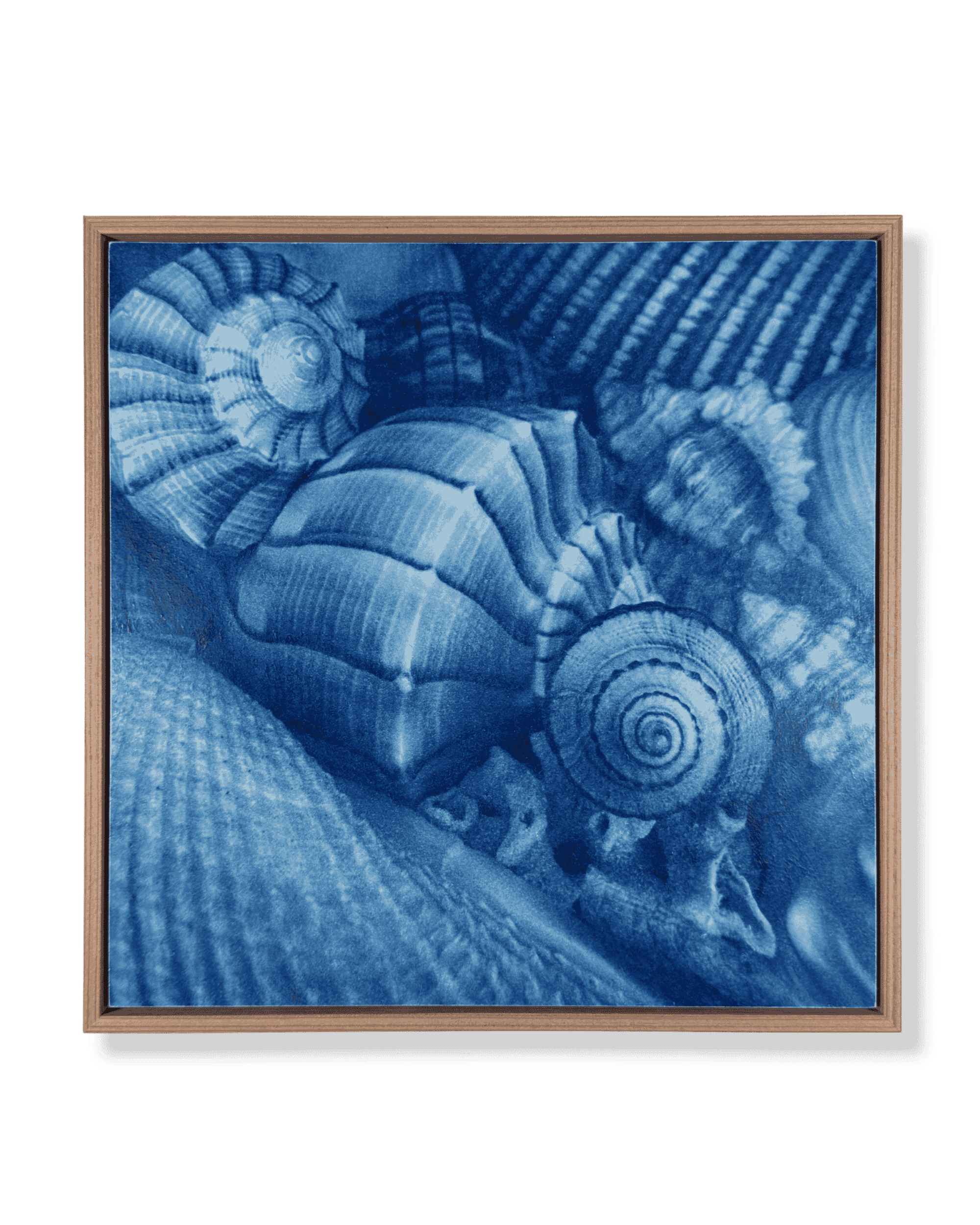Untitled design (16).png