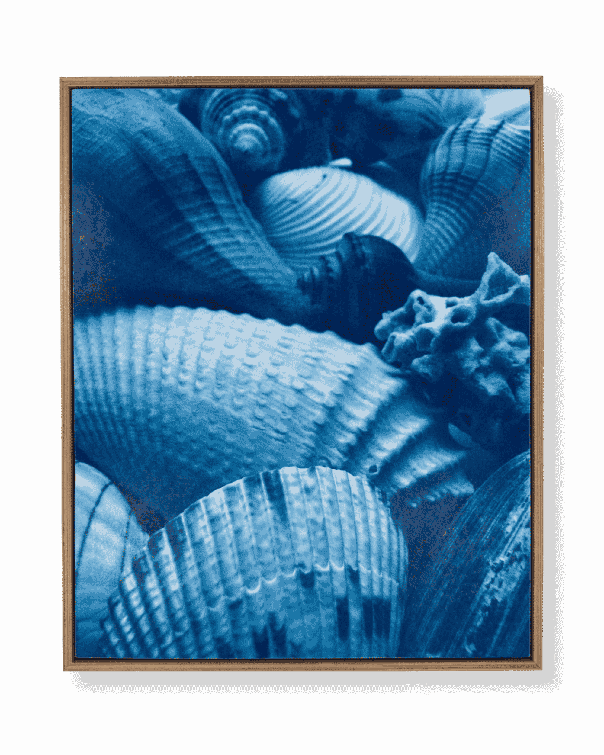 16x20 drk shl 1 frmd sept 26 full front.png