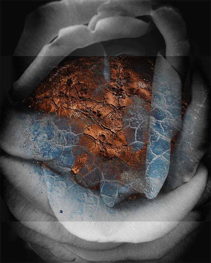 Gaia: Earth Studies 2