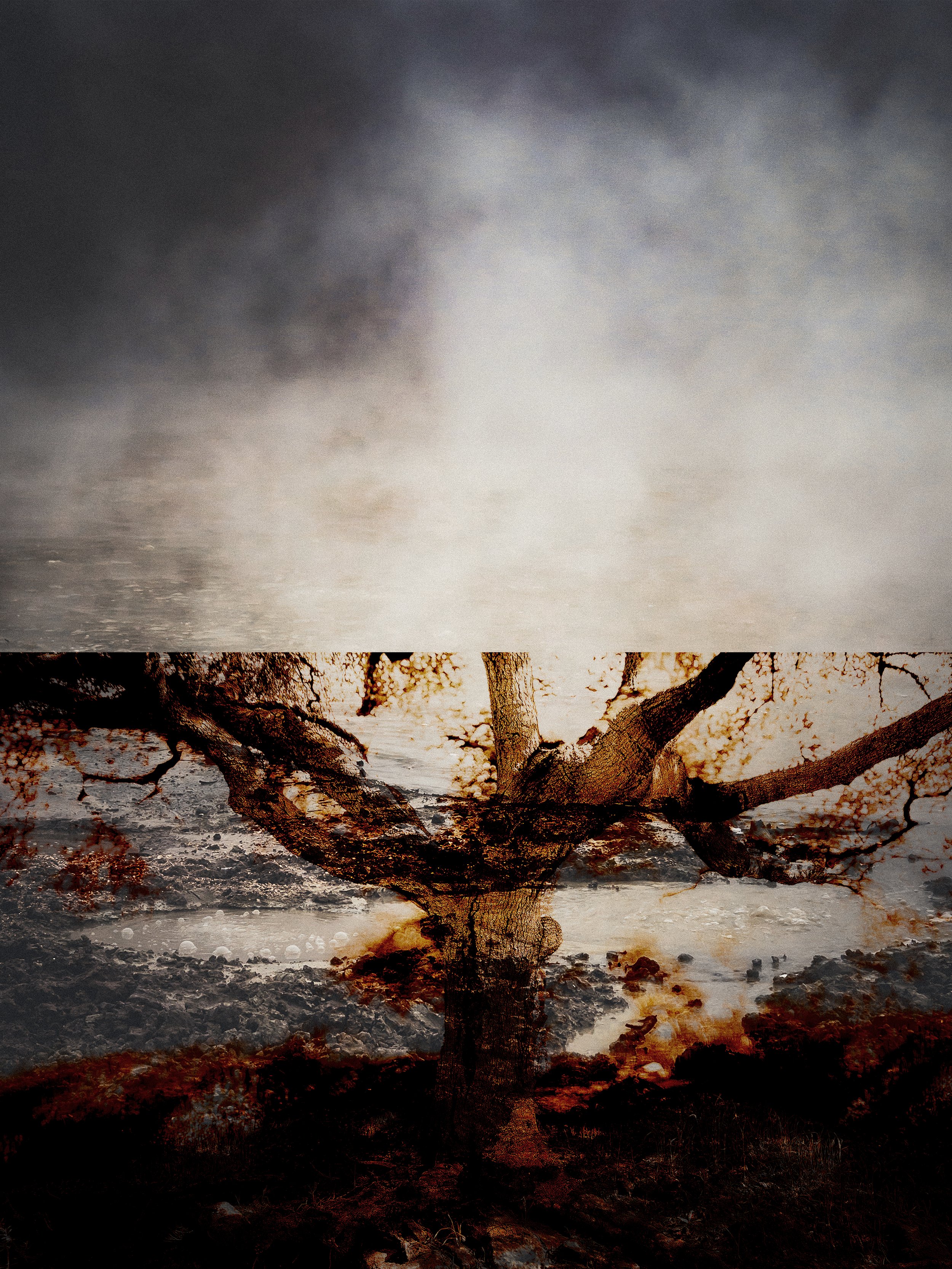 Gaia: Earth Studies 1  (currently on exhibit at QUIET, a show at the Los Angeles Makery)  