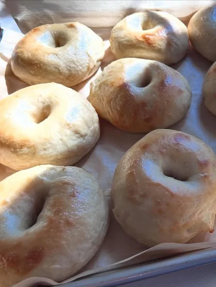Plain bagels.jpg