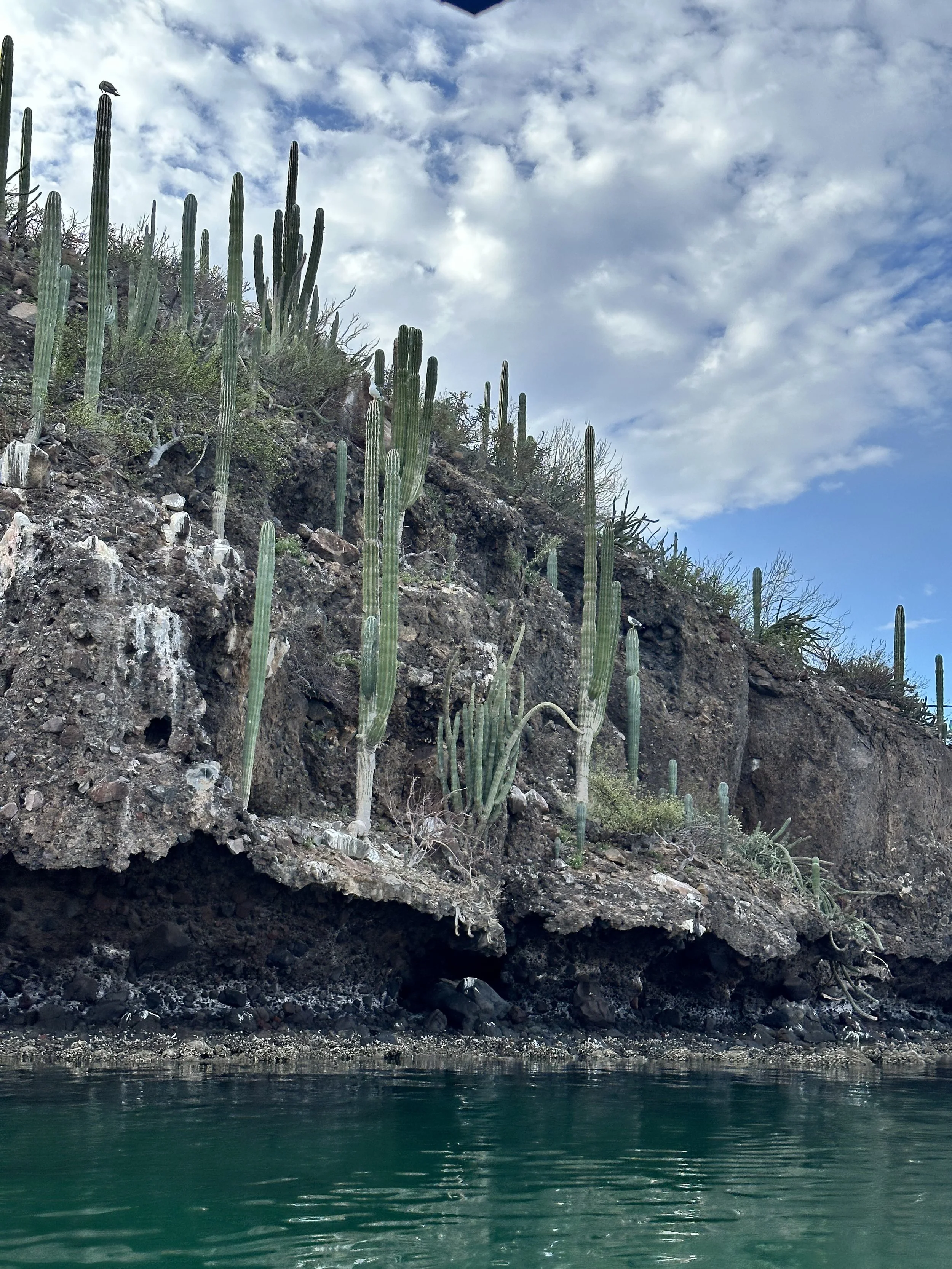Surrounded by mountains and cacti