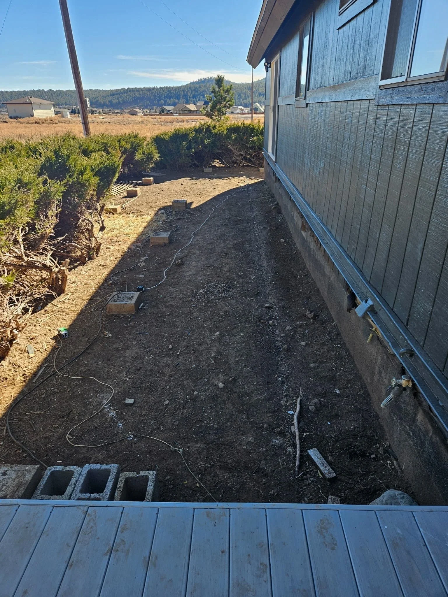20241209_130453.jpg