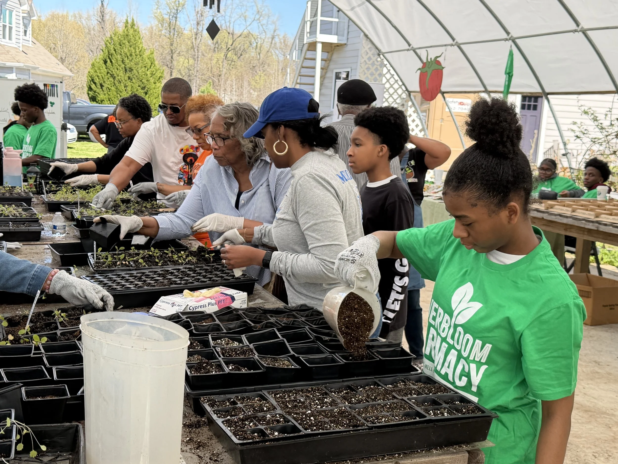 Volunteer Opportunity