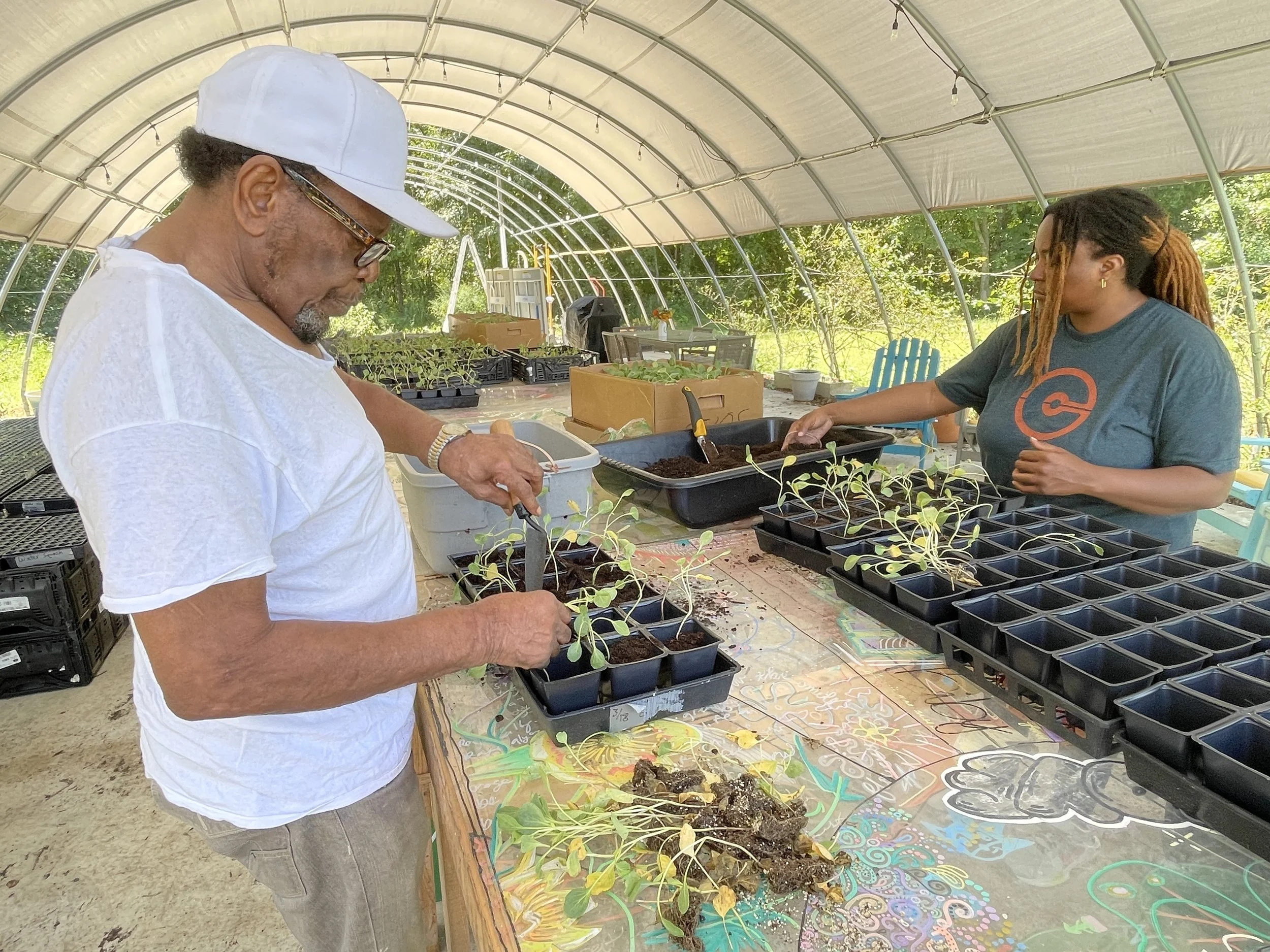 Volunteer Opportunity