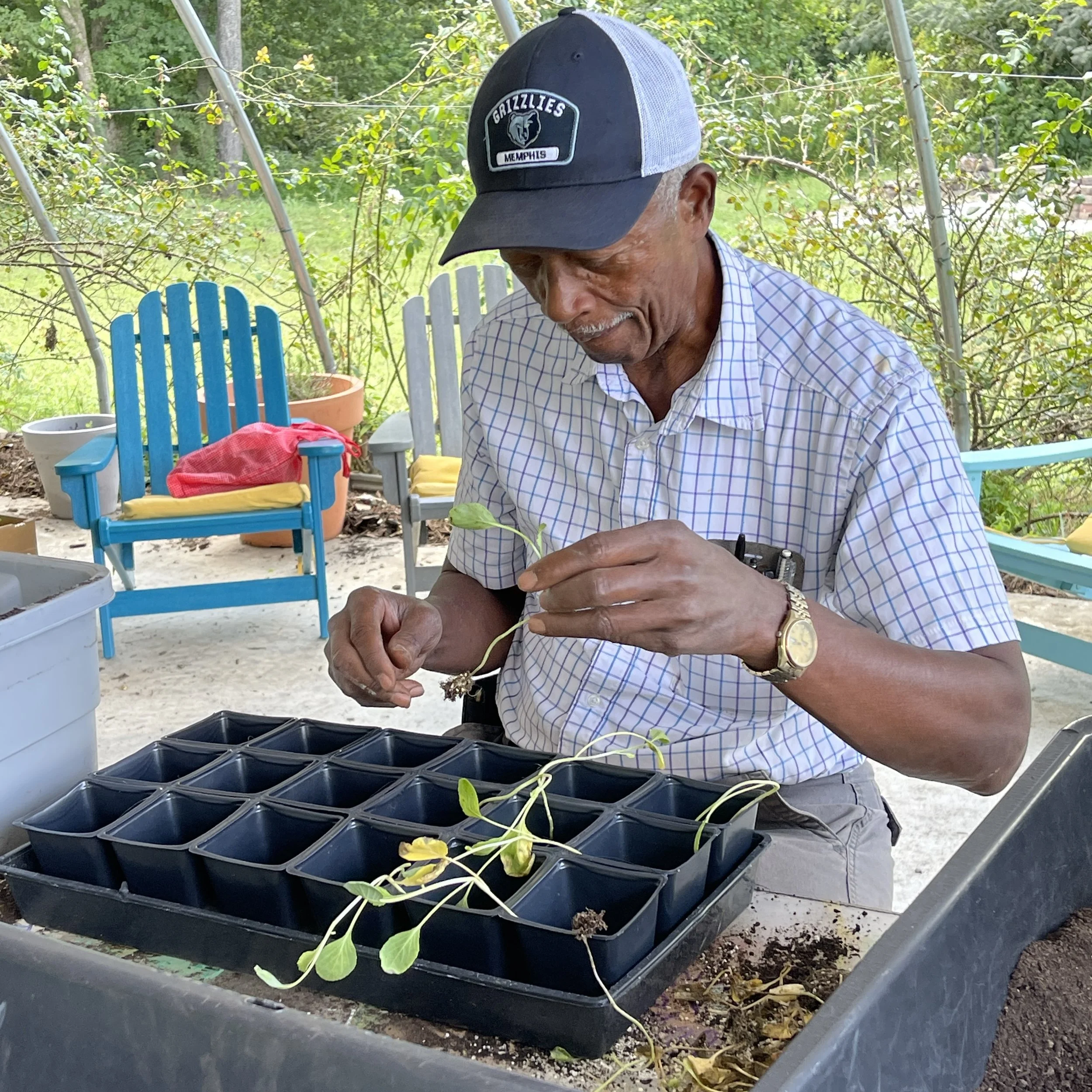 Volunteer Opportunity