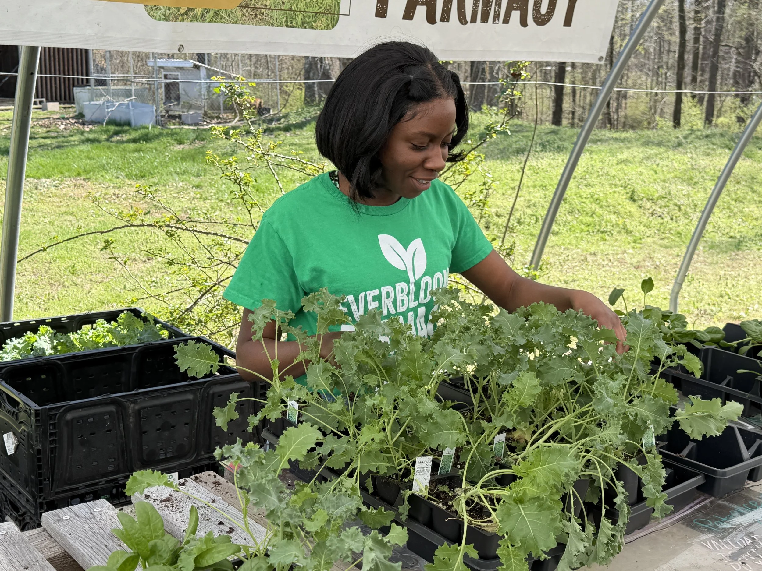 Volunteer Opportunity