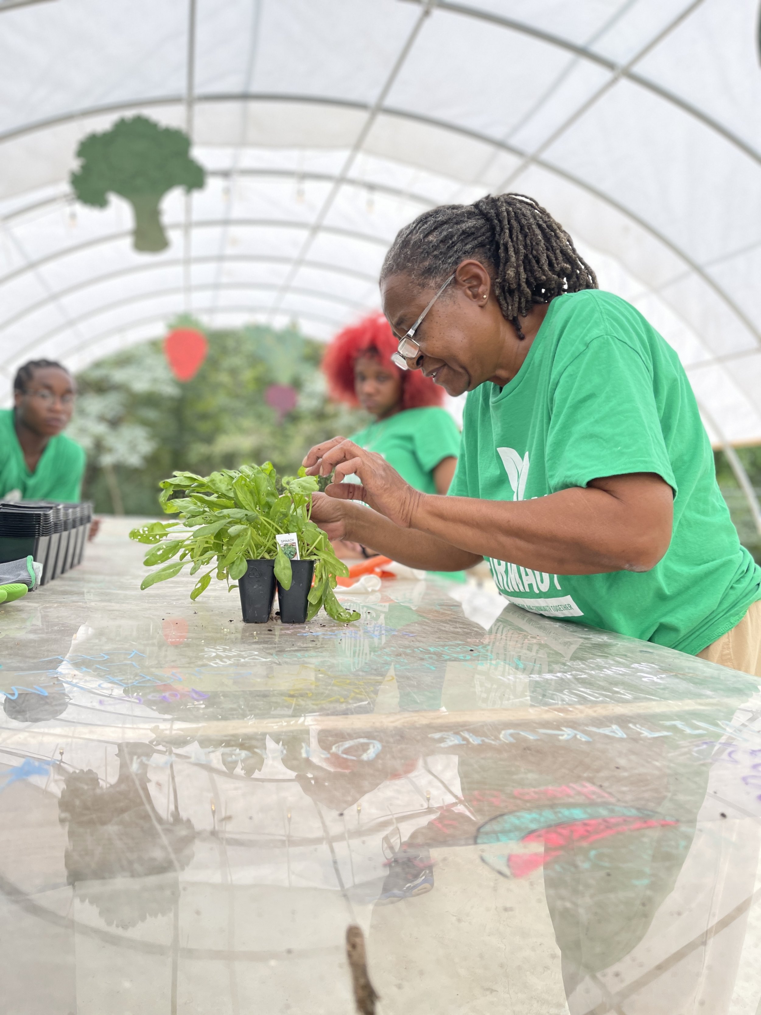 Volunteer Opportunity