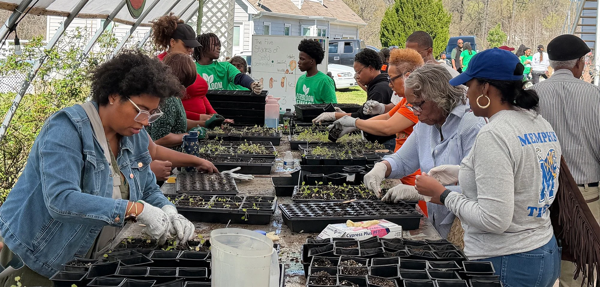 Fall Seed Sowing Kickoff