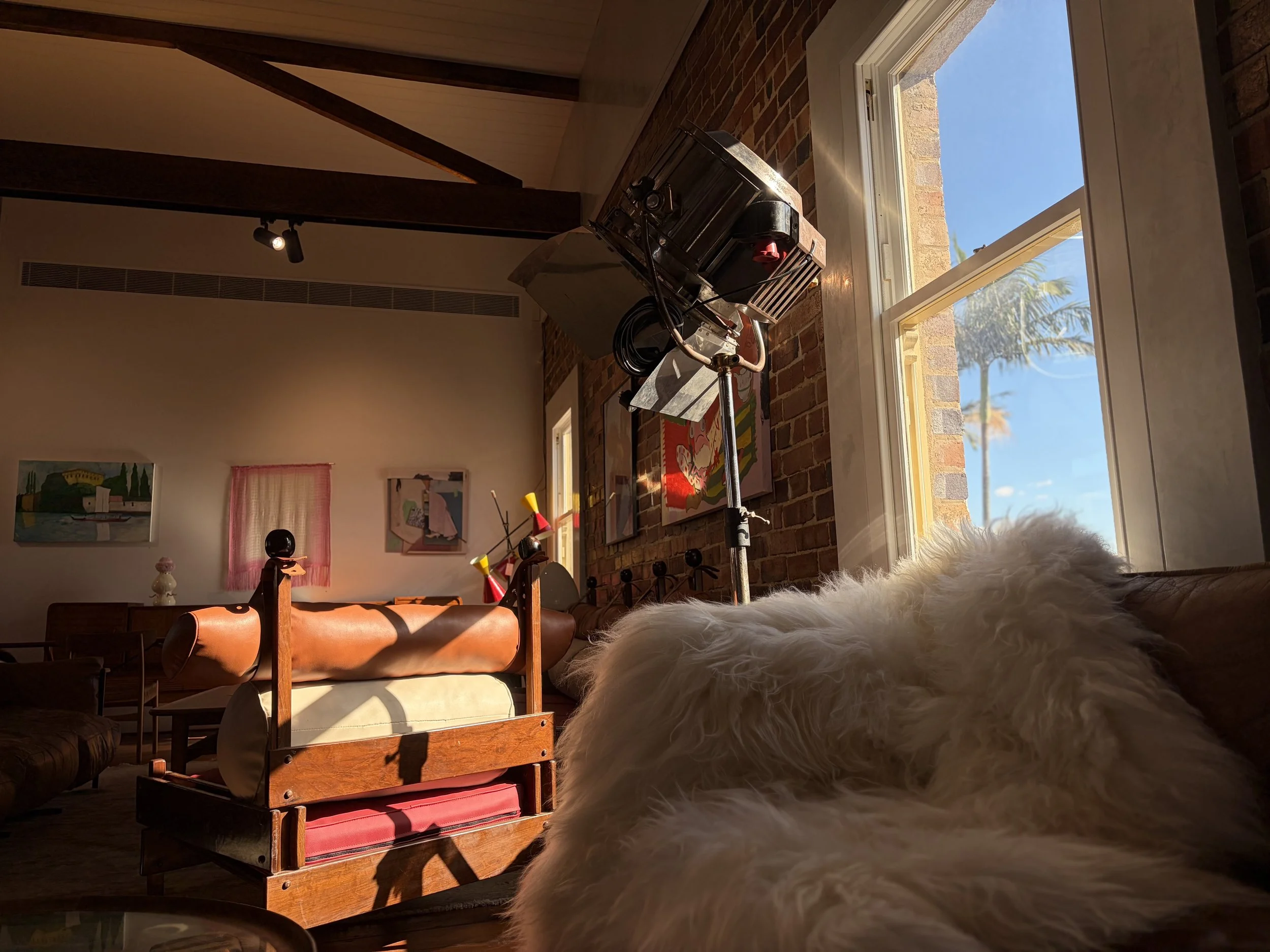 Room with sunlight coming through large window, brick wall, art on wall, furniture, and a fluffy dog in the foreground.