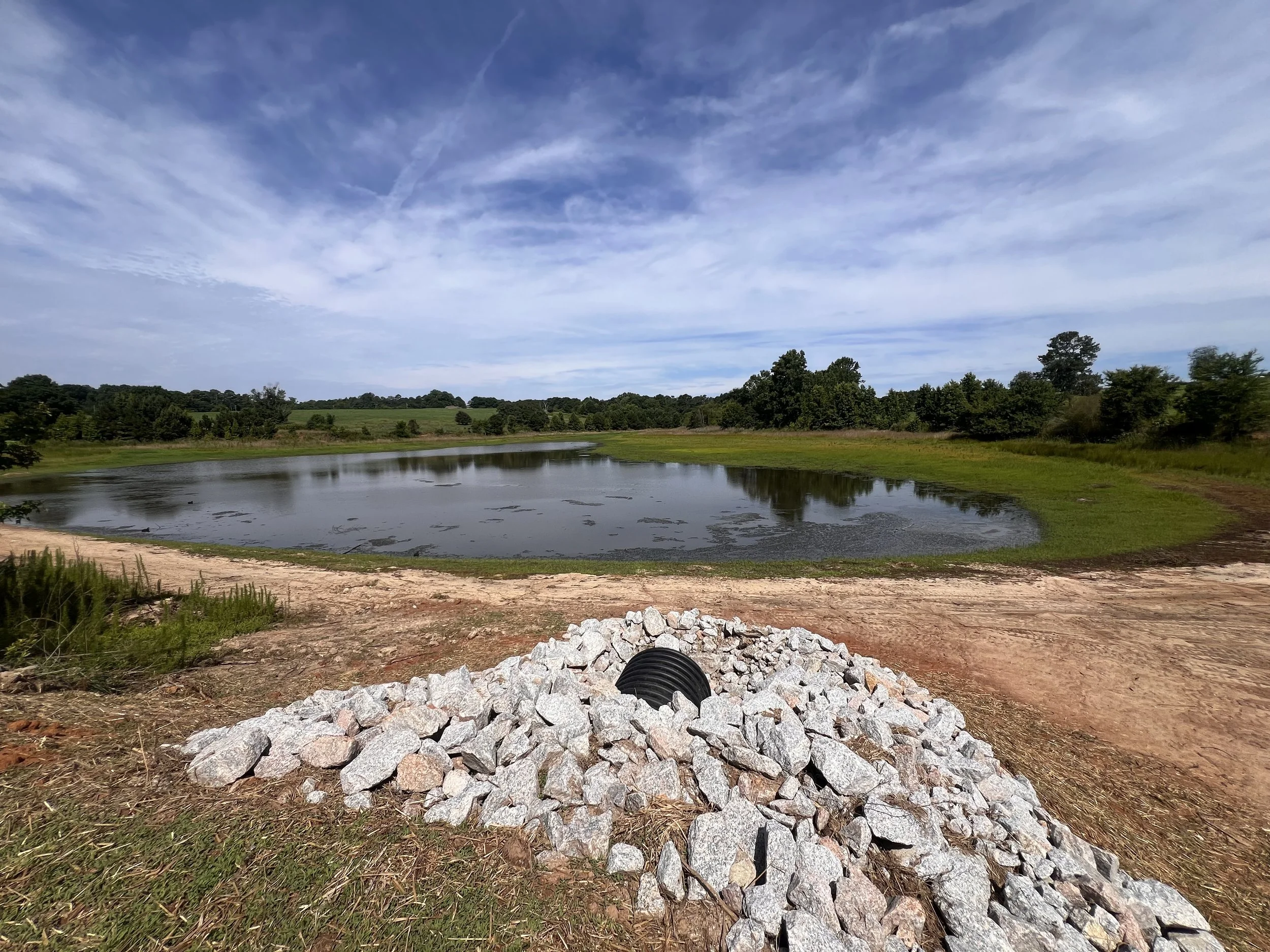 Pond Recovery